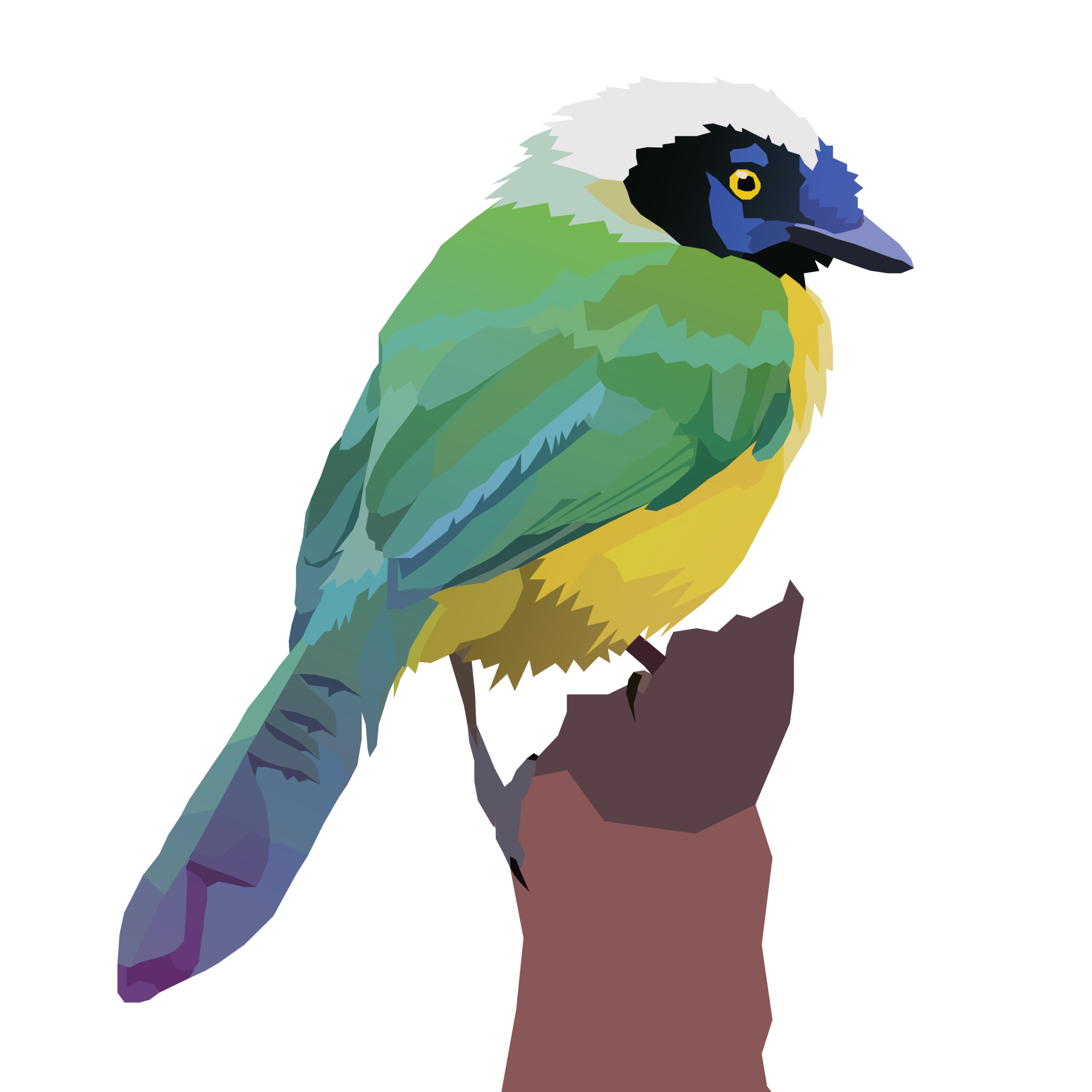 birb_20.png