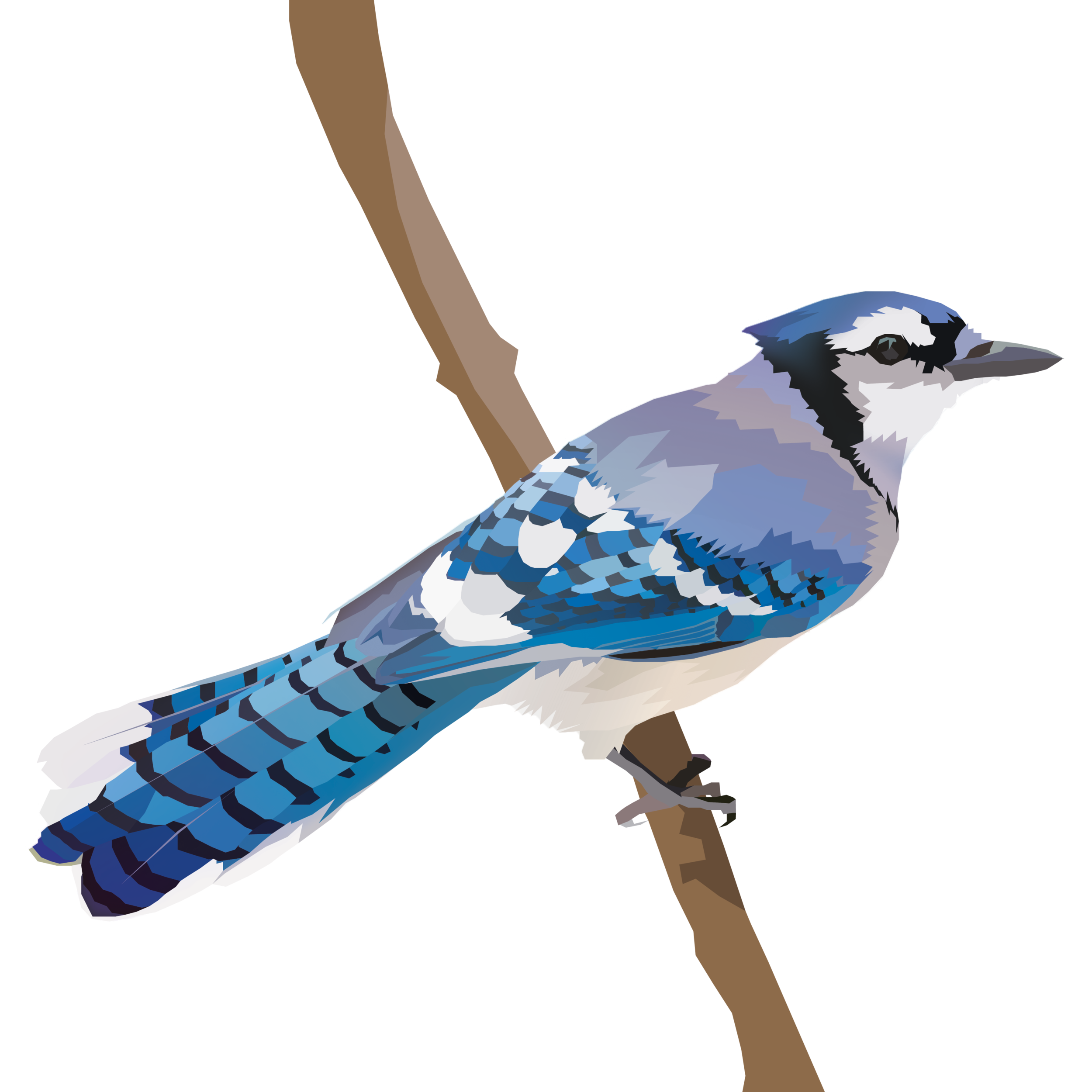 birb_21.png
