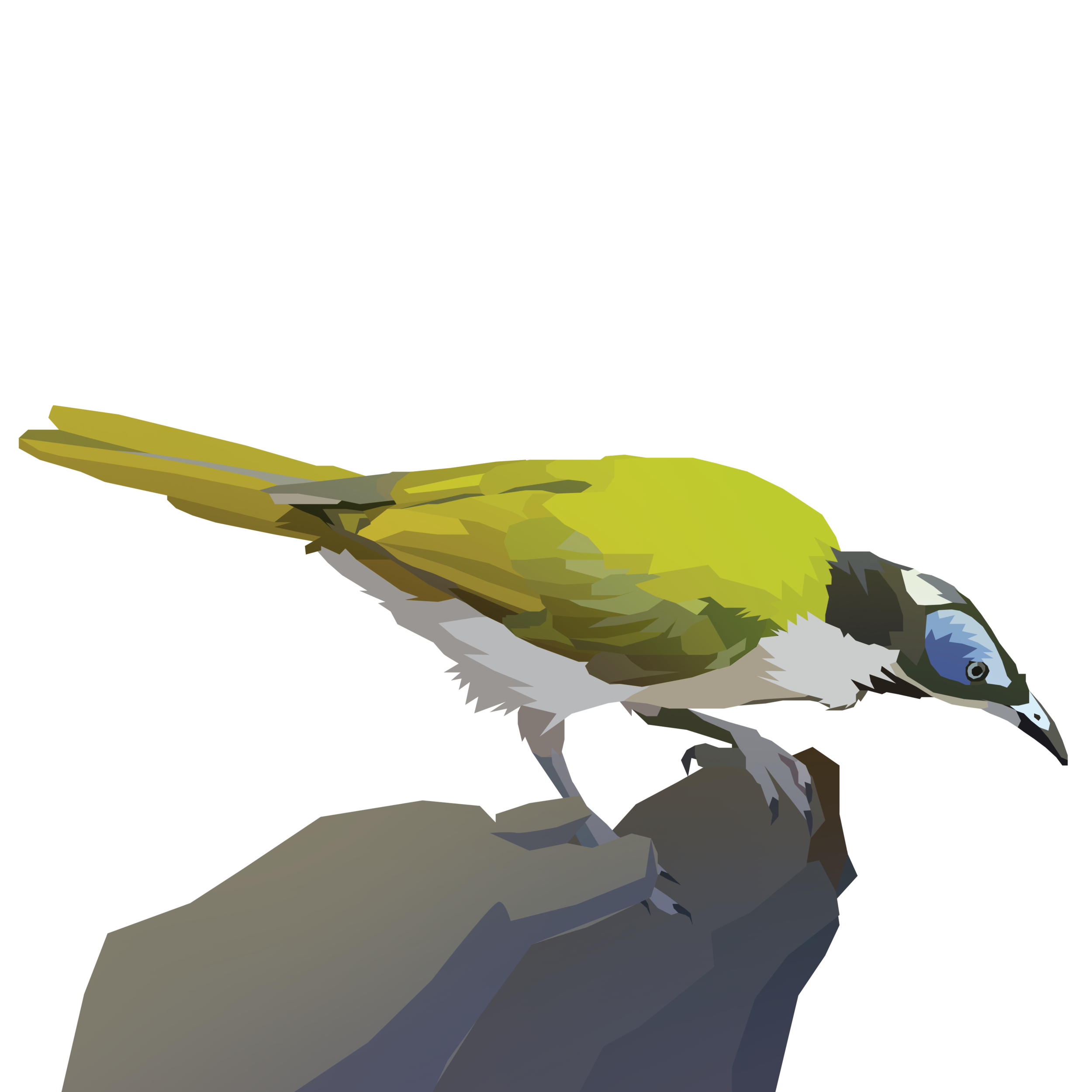 birb_23.png