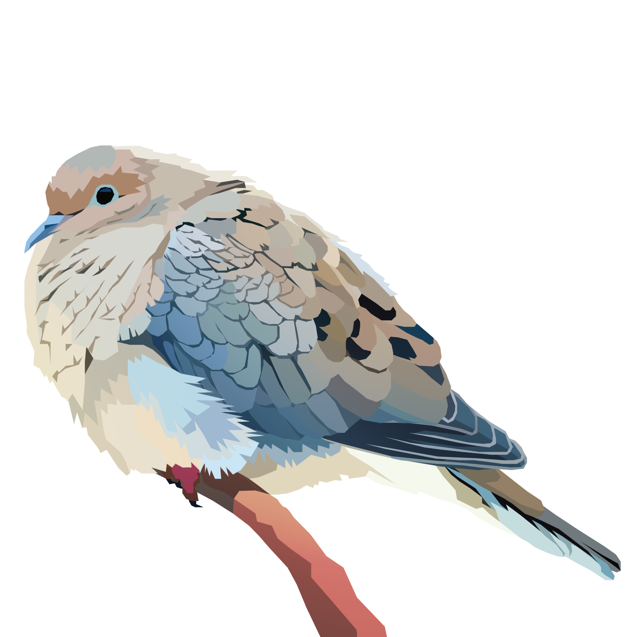birb_24.png