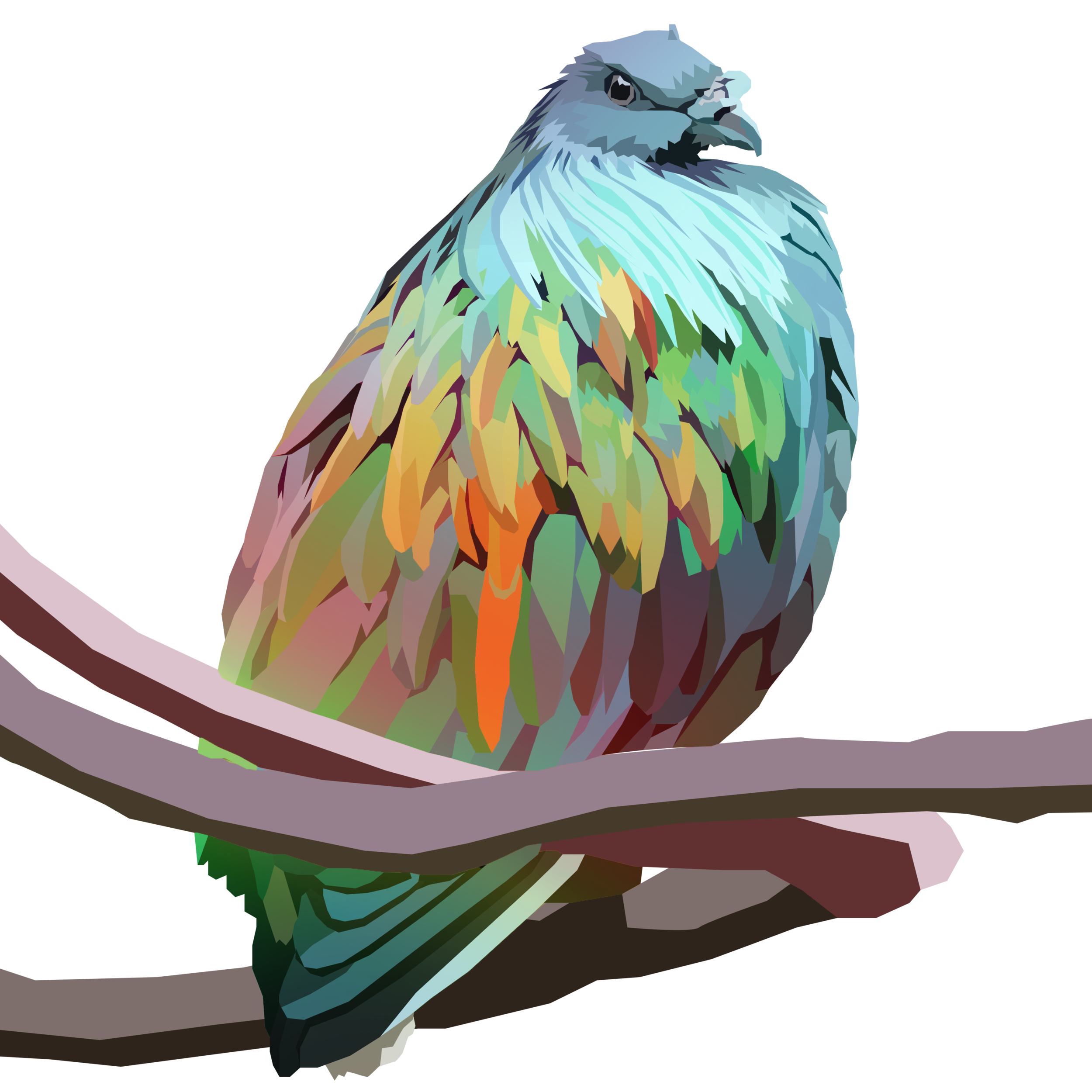 birb_26.png