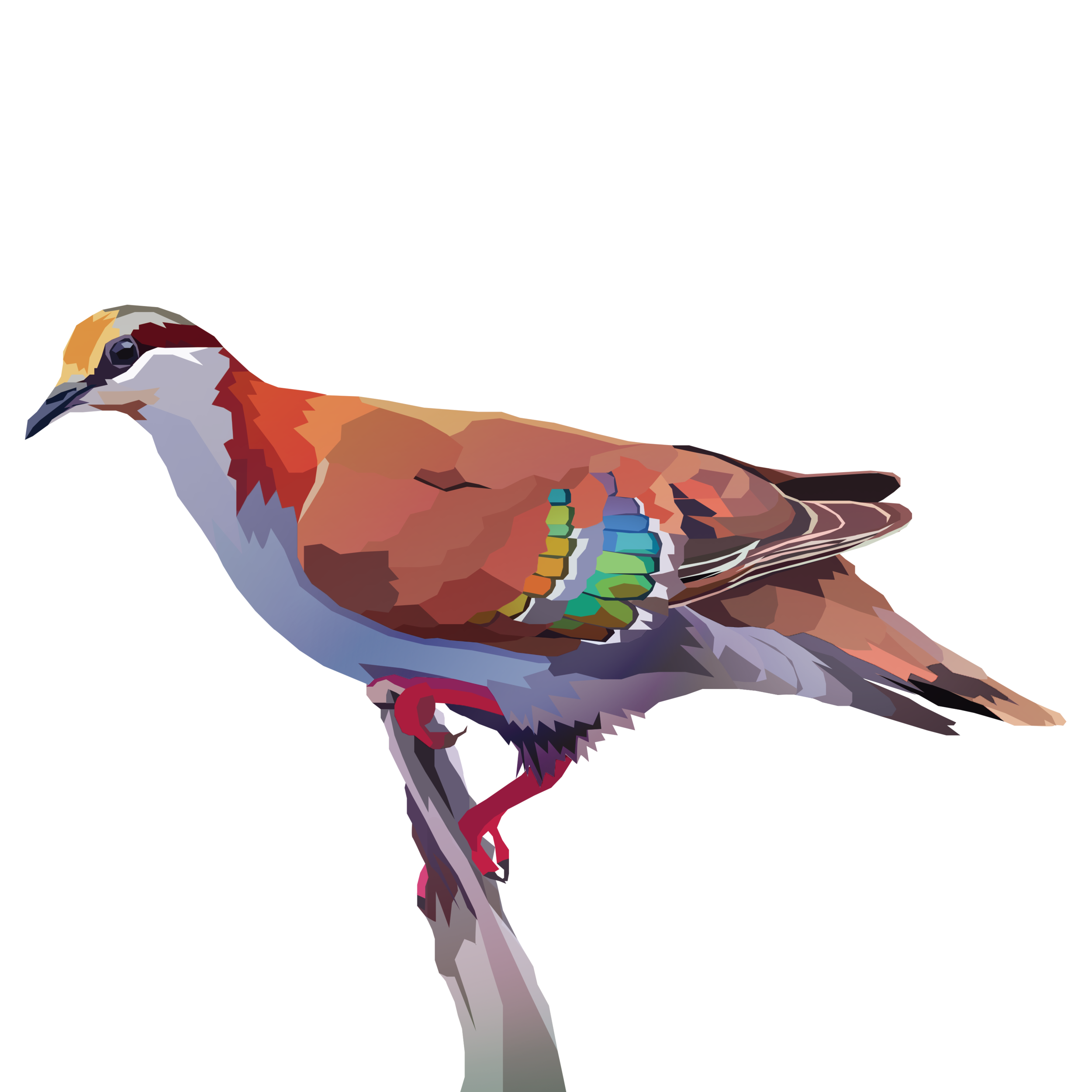 birb_27.png