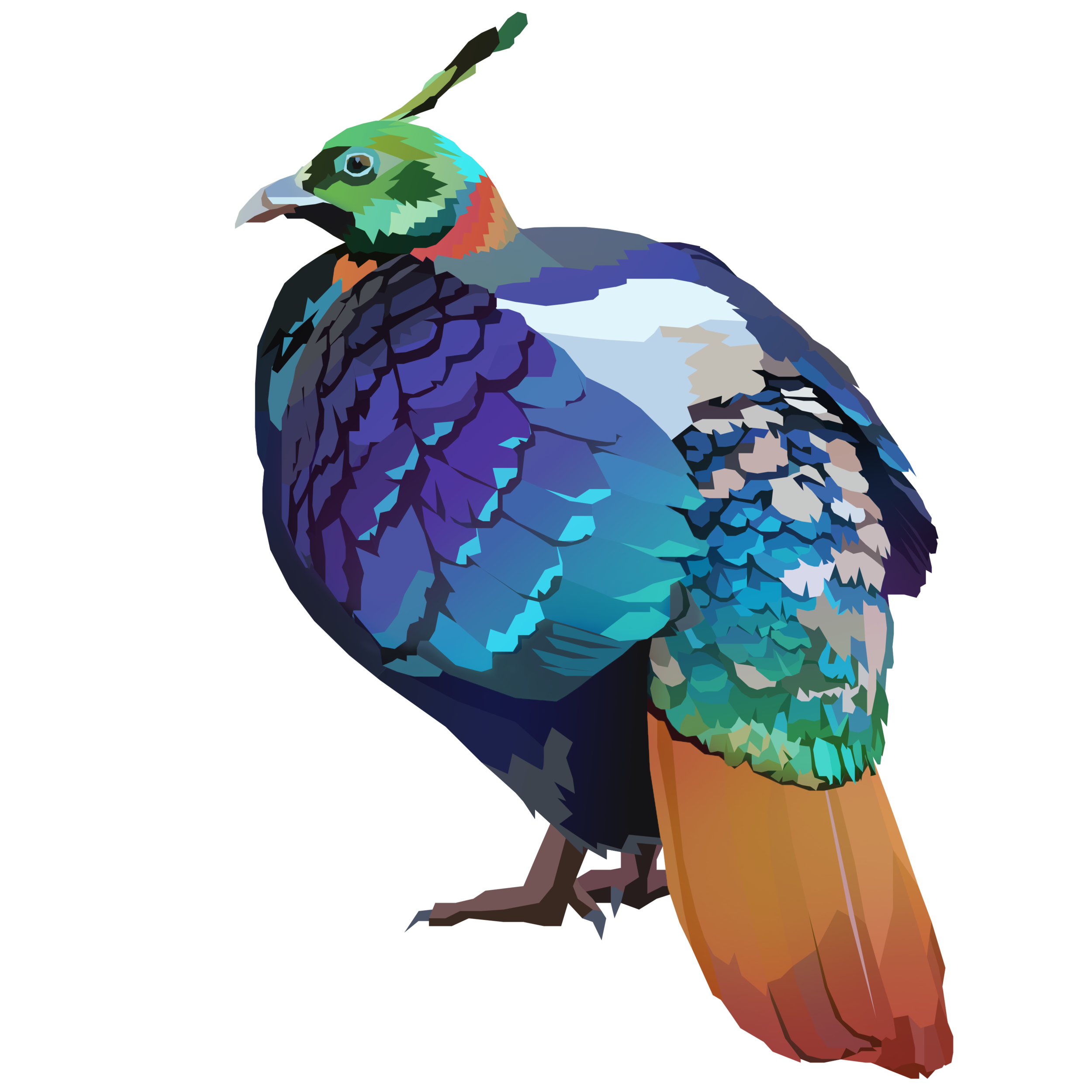 birb_29.png