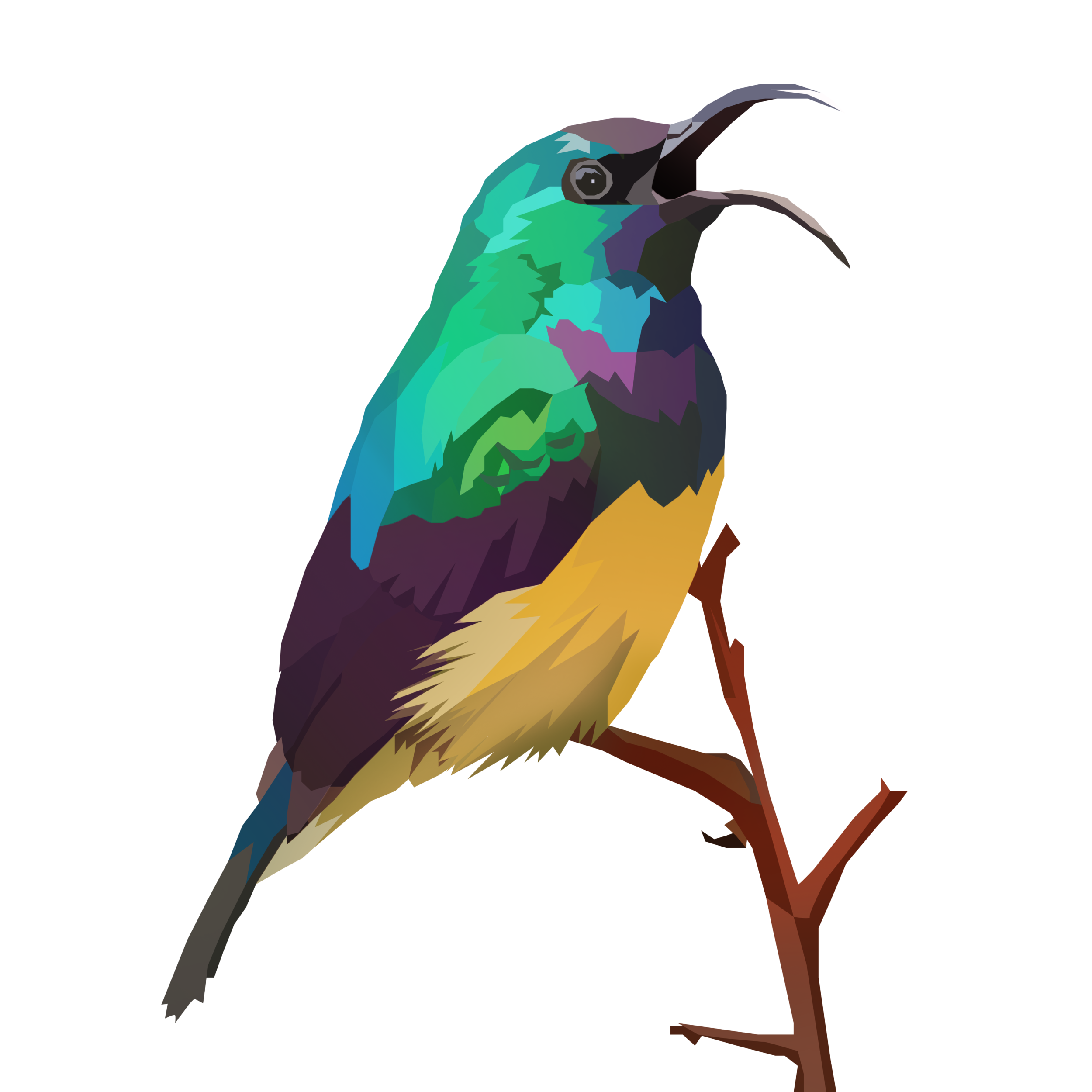 birb_30.png