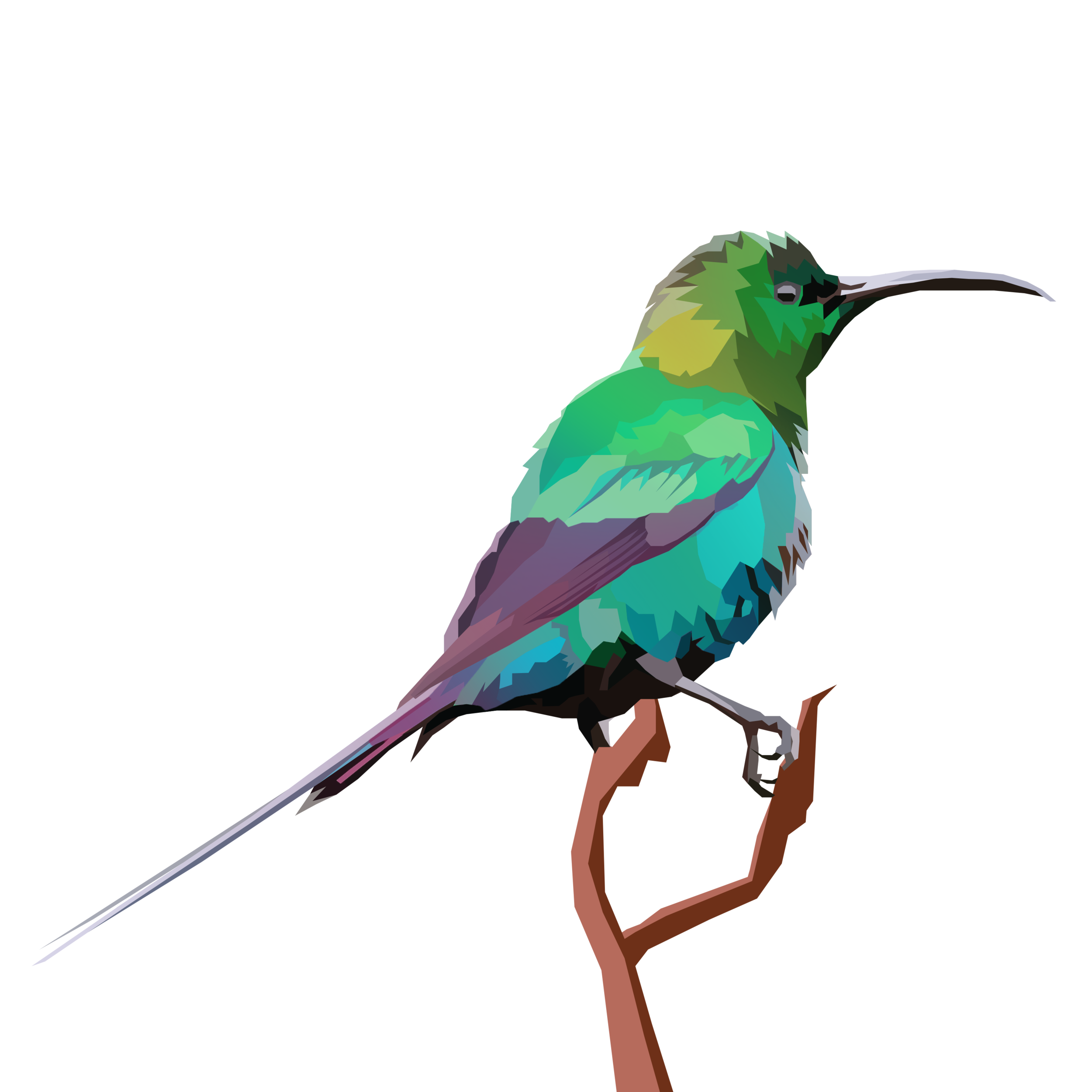 birb_31.png