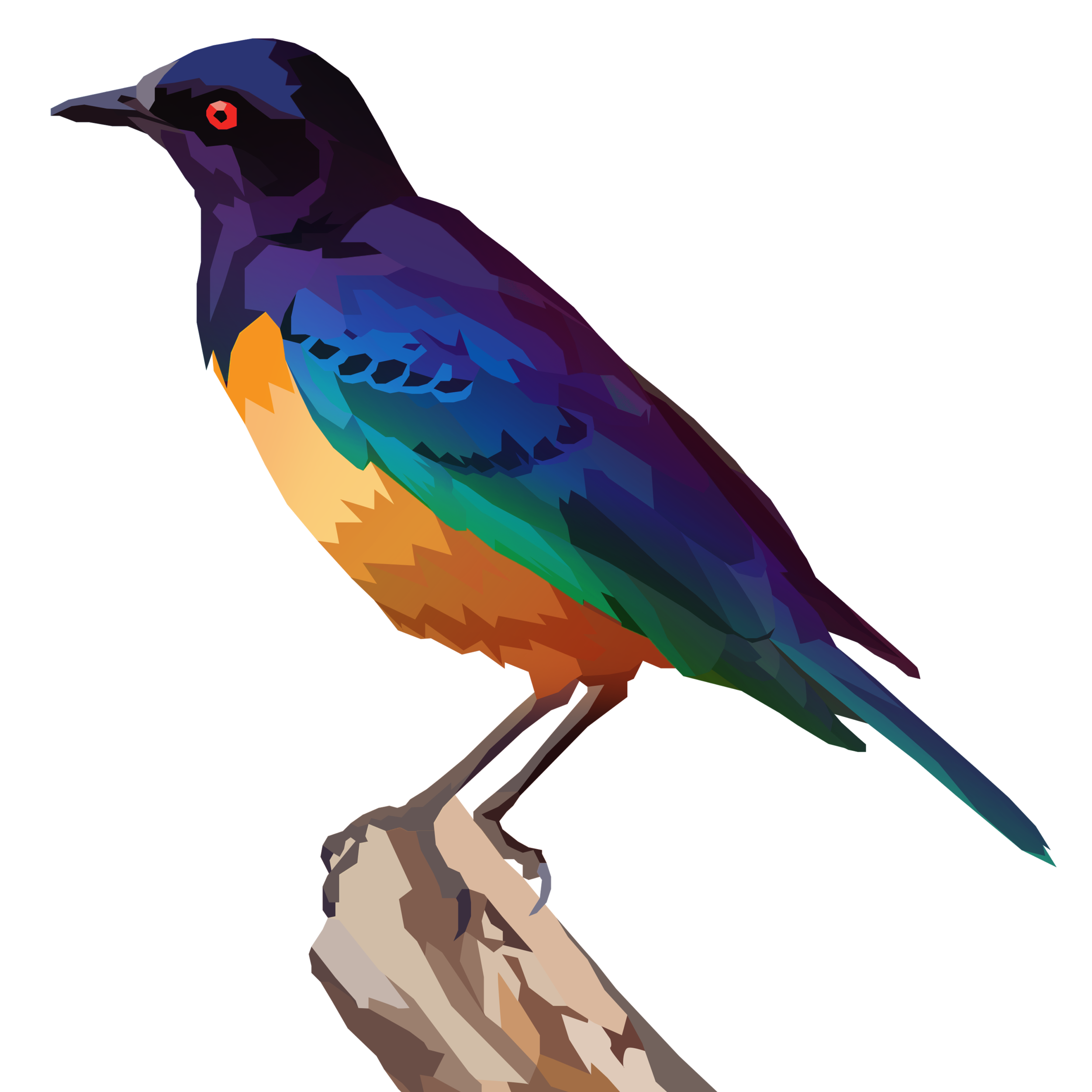 birb_32.png