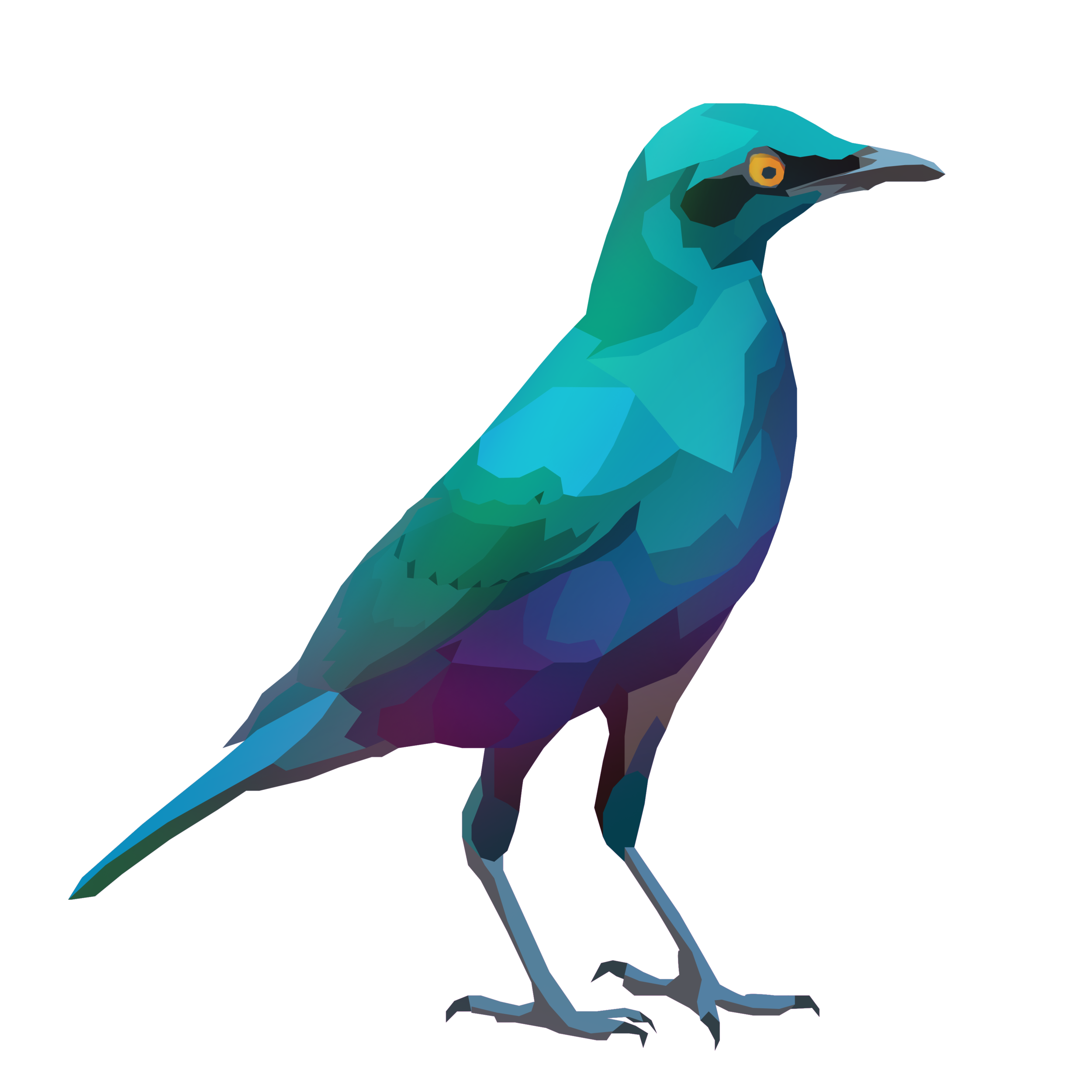 birb_33.png