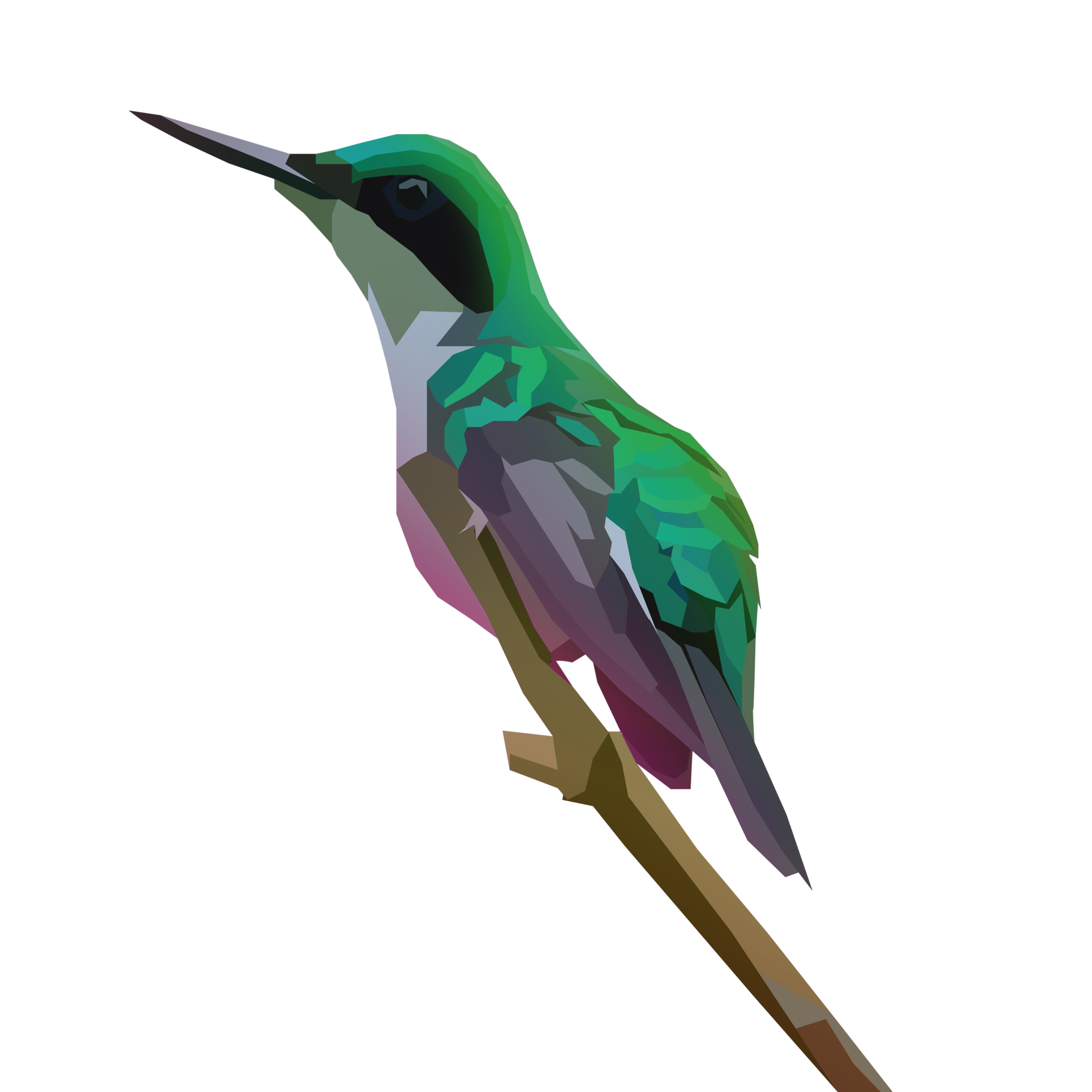 birb_35.png