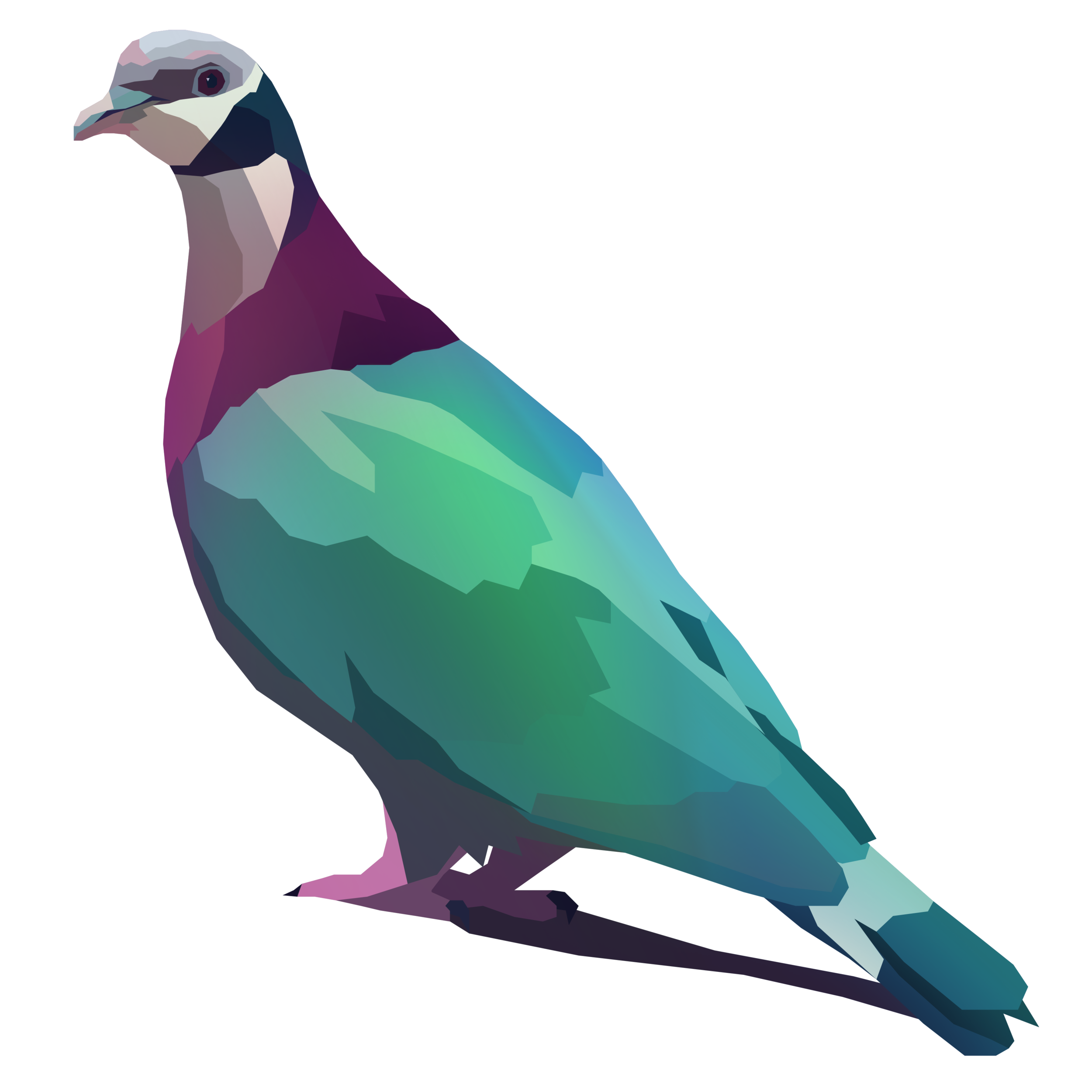 birb_34.png