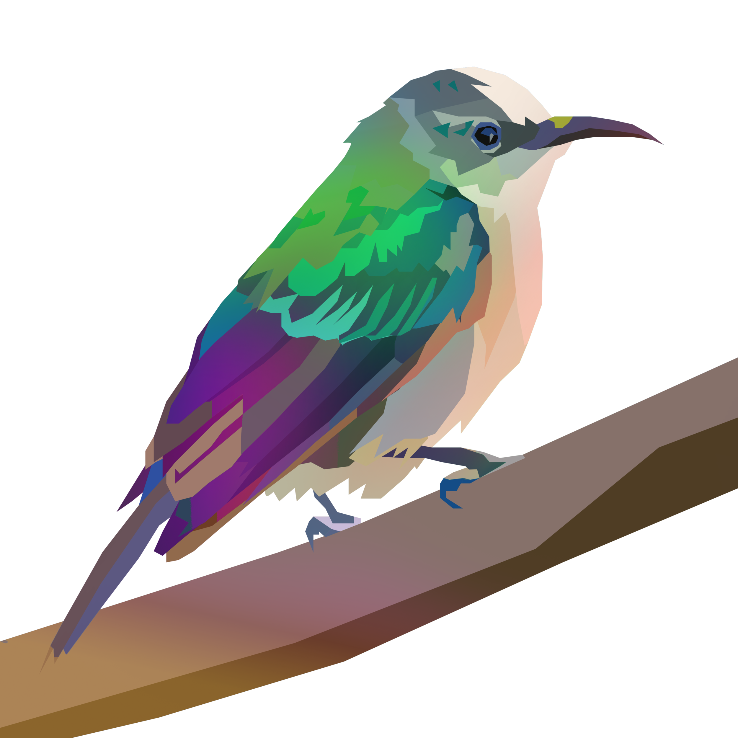 birb_37.png