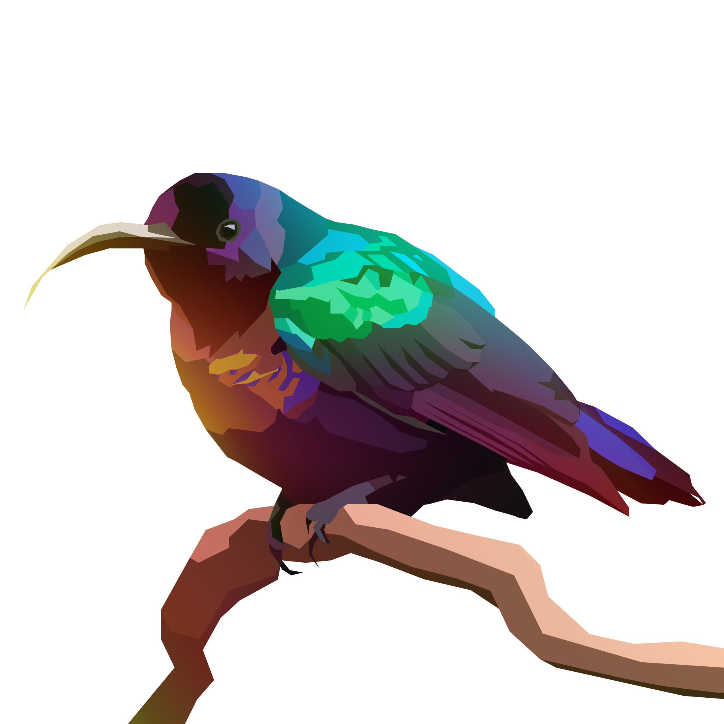 birb_38.png