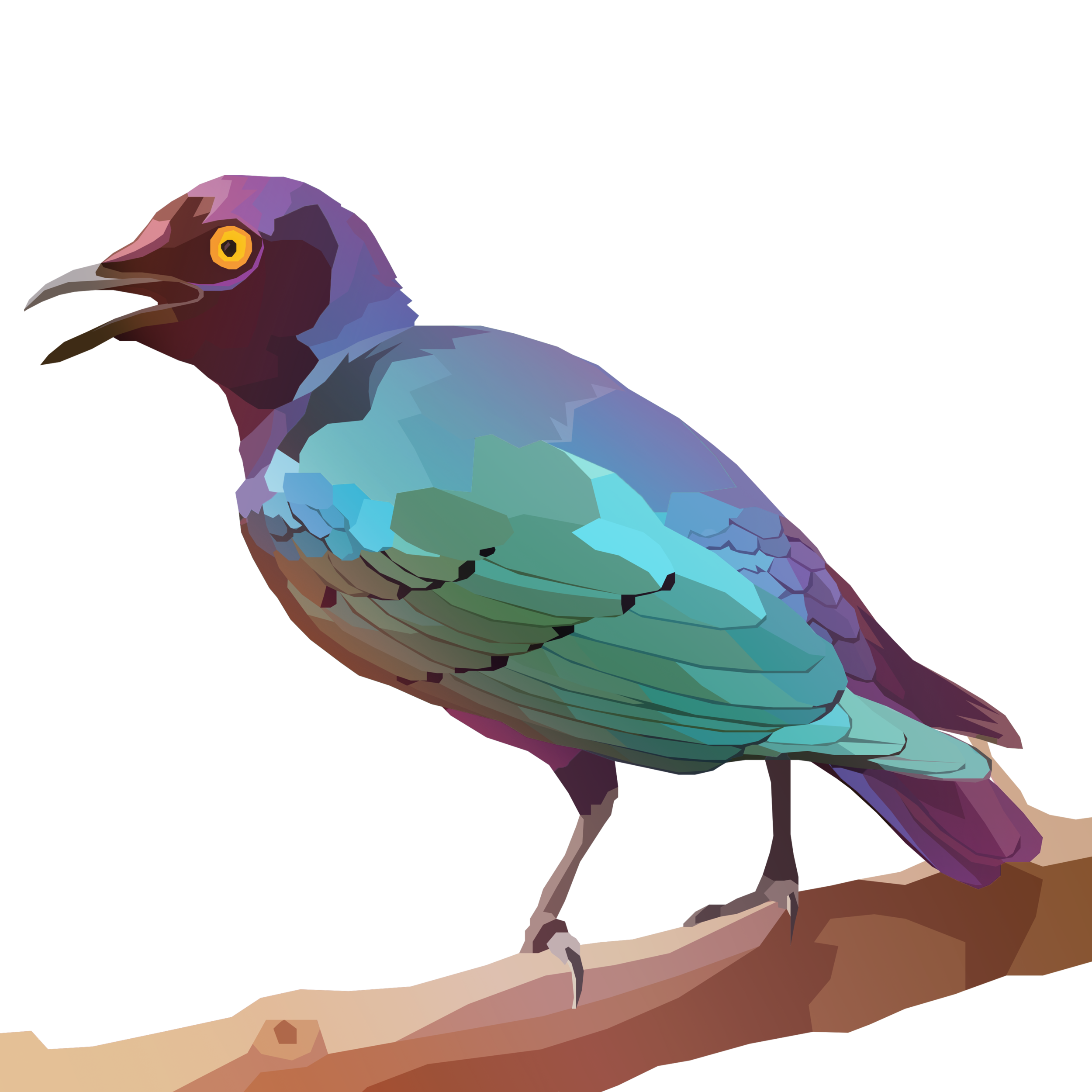 birb_40.png