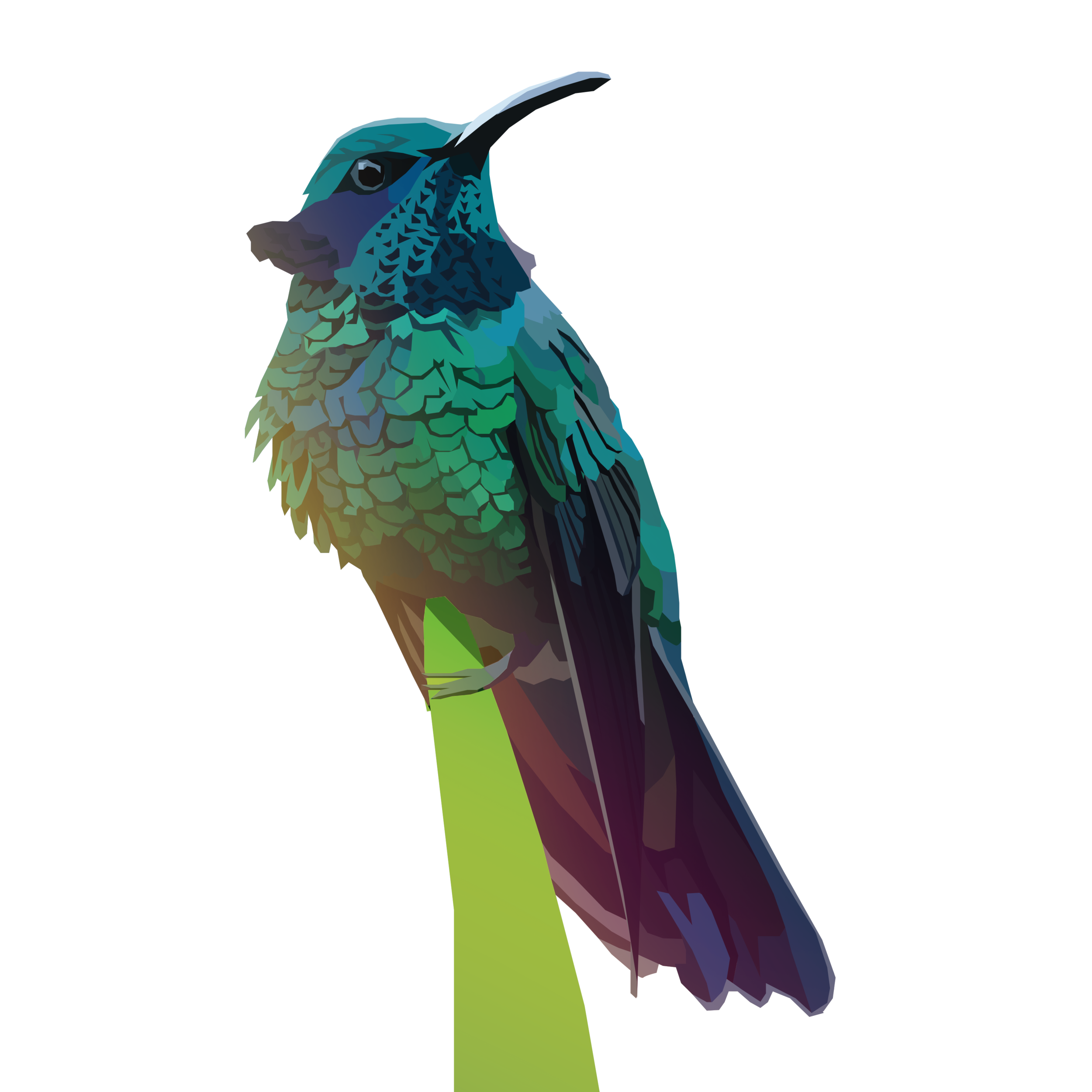 birb_41.png