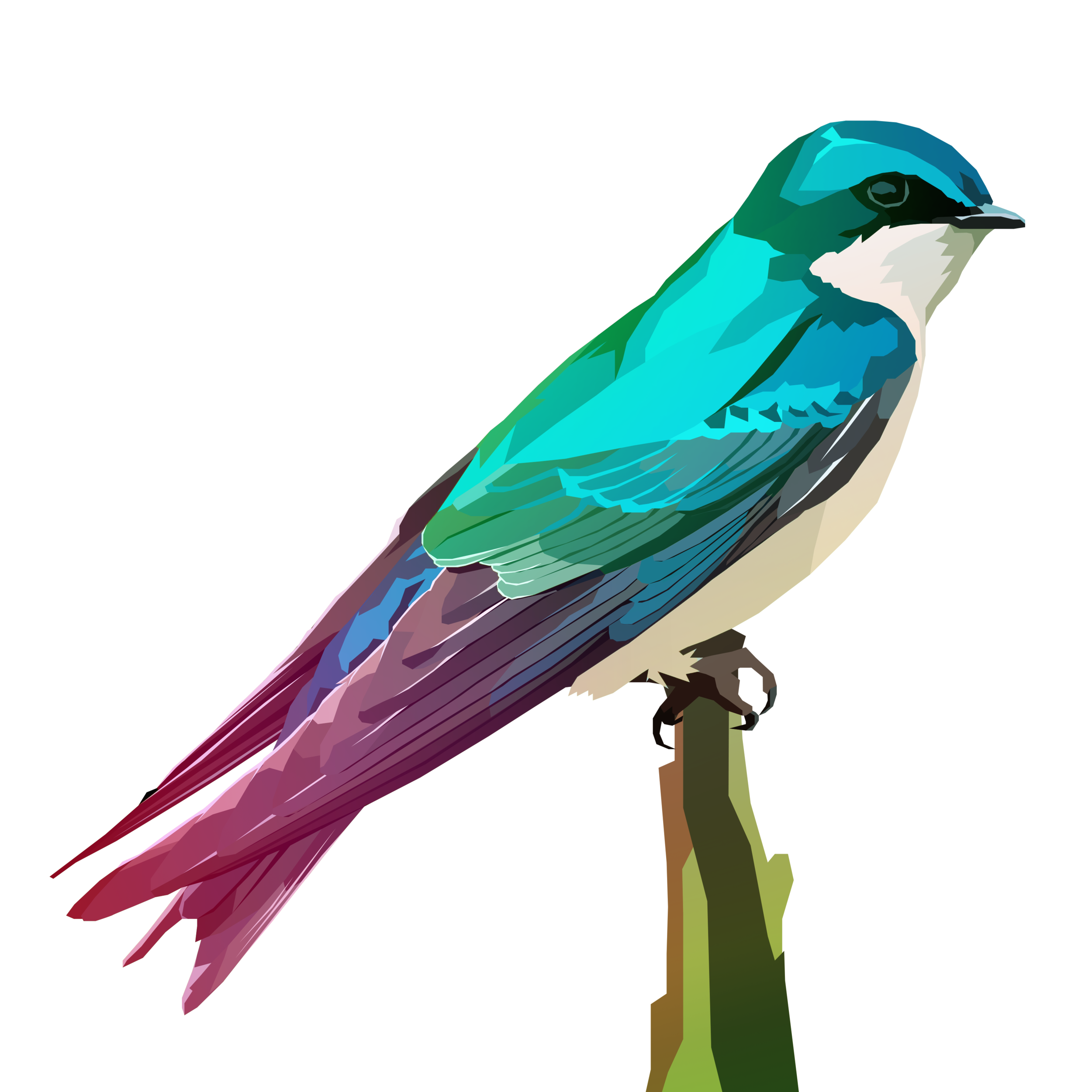 birb_42.png
