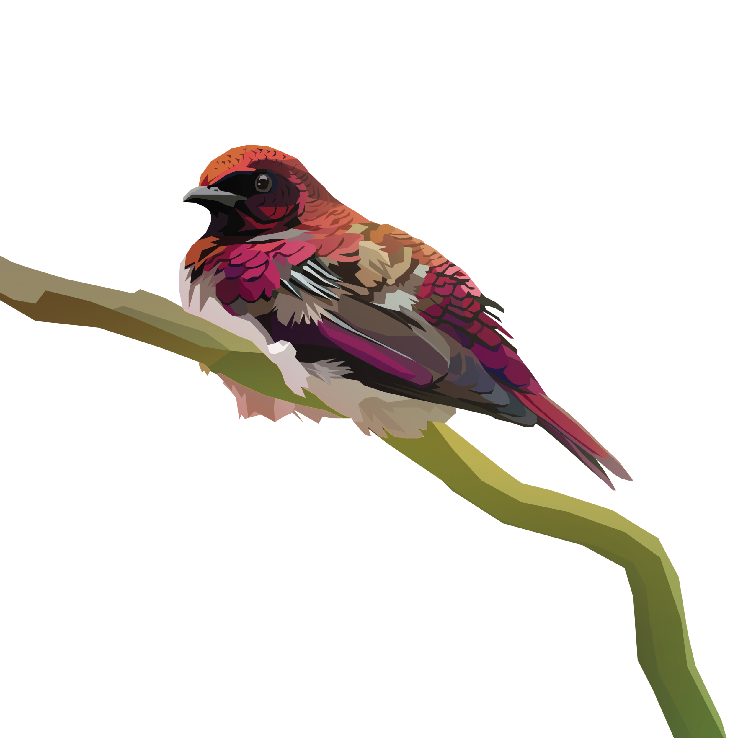 birb_45.png