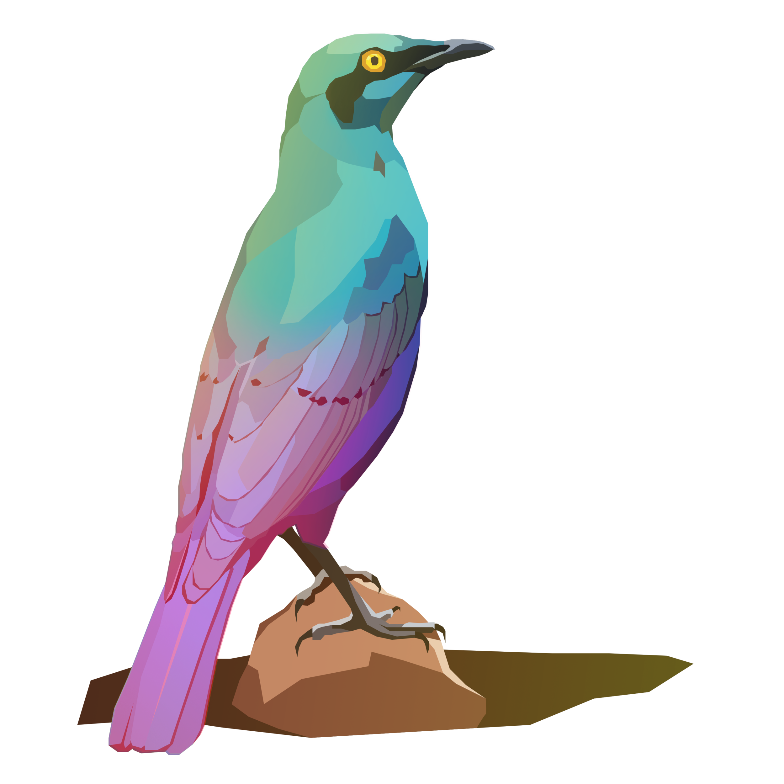 birb_44.png
