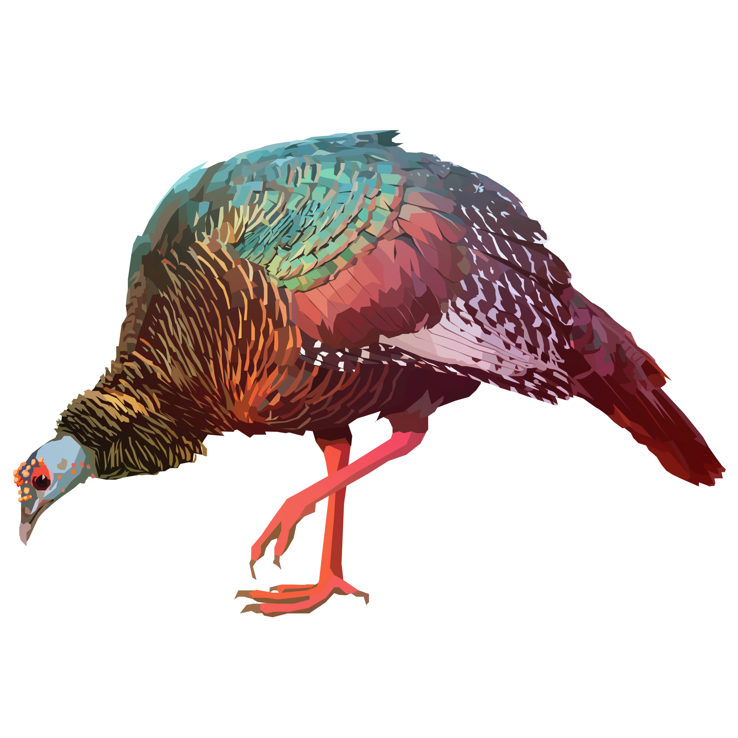 birb_49.png