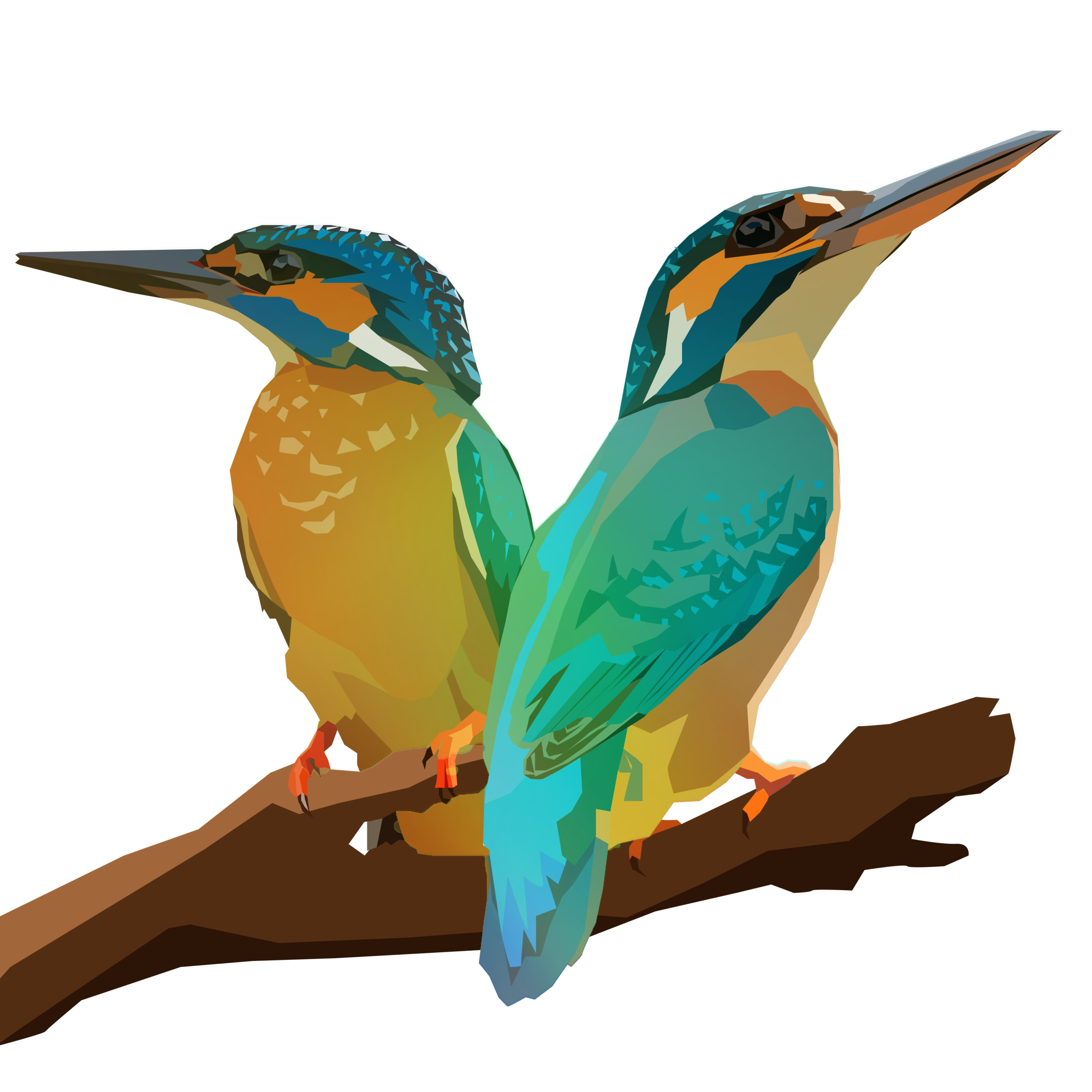 birb_50.png