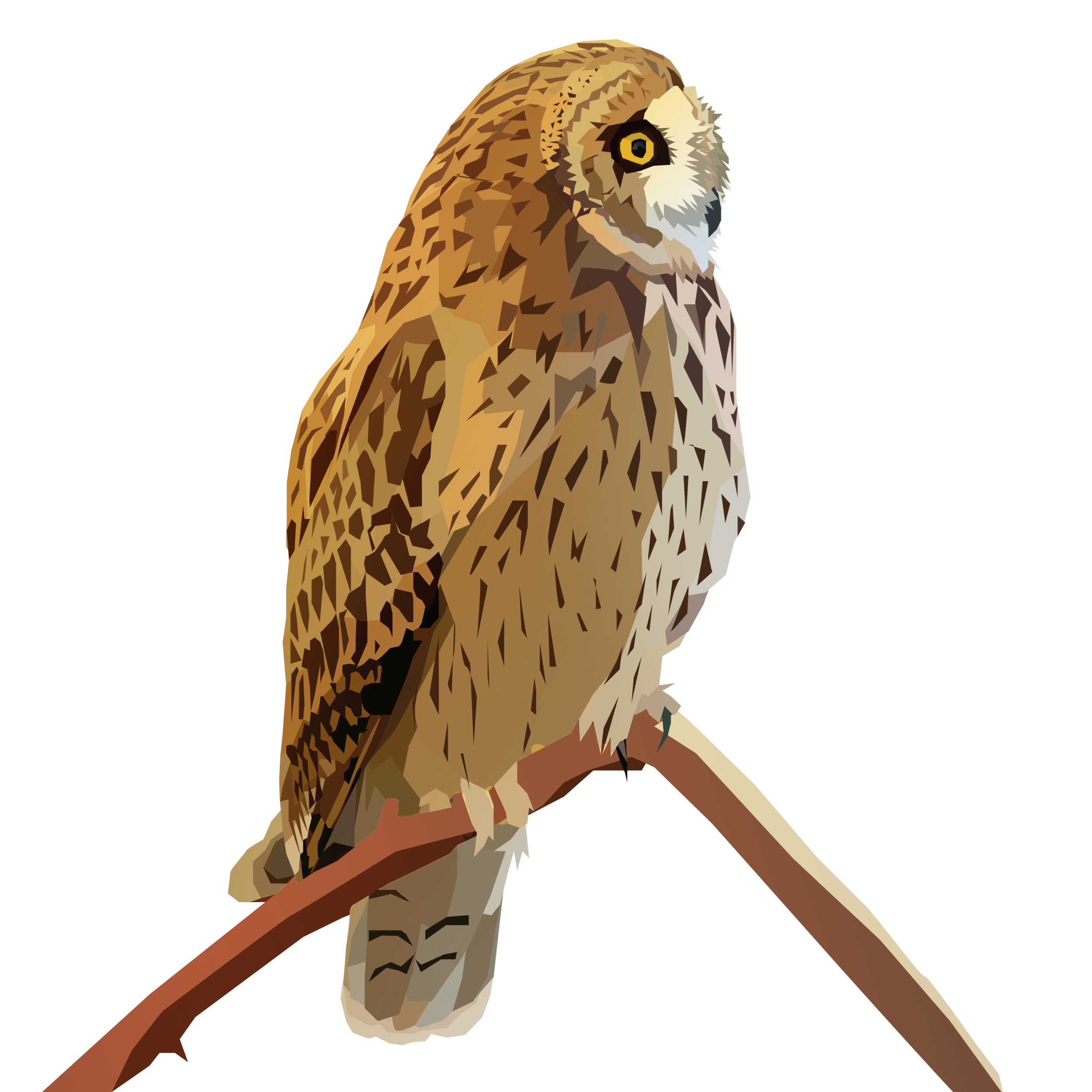 birb_51.png