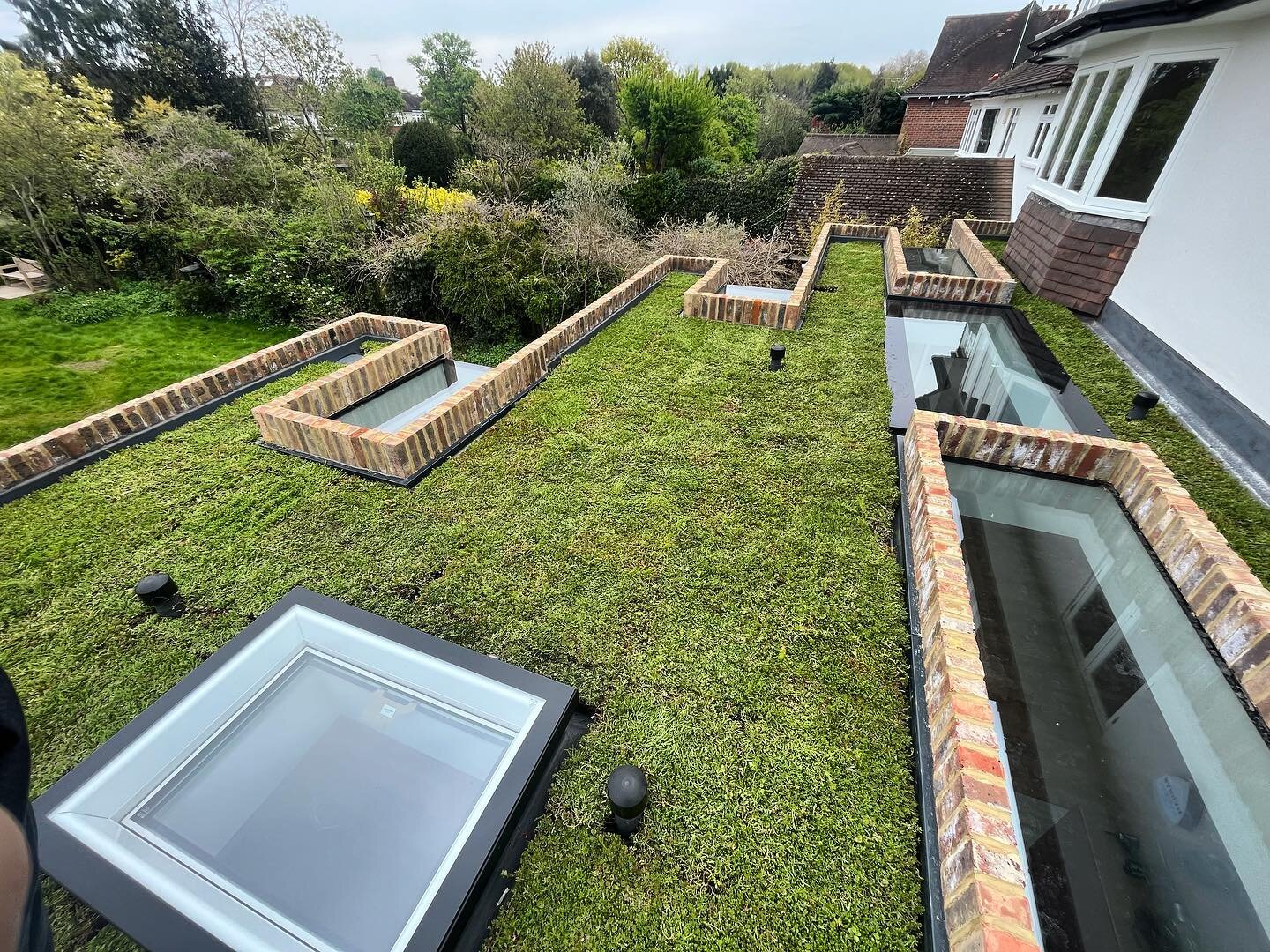 Green roof nearly completed st the Richmond project #greenroof #green #roof #bigbeanconstruction #building #modern #architecture #london