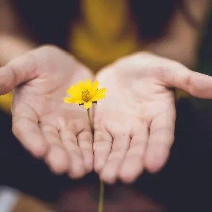 🌿 Something special is coming&hellip;

I&rsquo;ve been dreaming up a way for us to move, breathe, and care for ourselves together &mdash; in small, simple steps that actually fit into real life.

Think: short yoga classes, easy Ayurvedic tips you ca