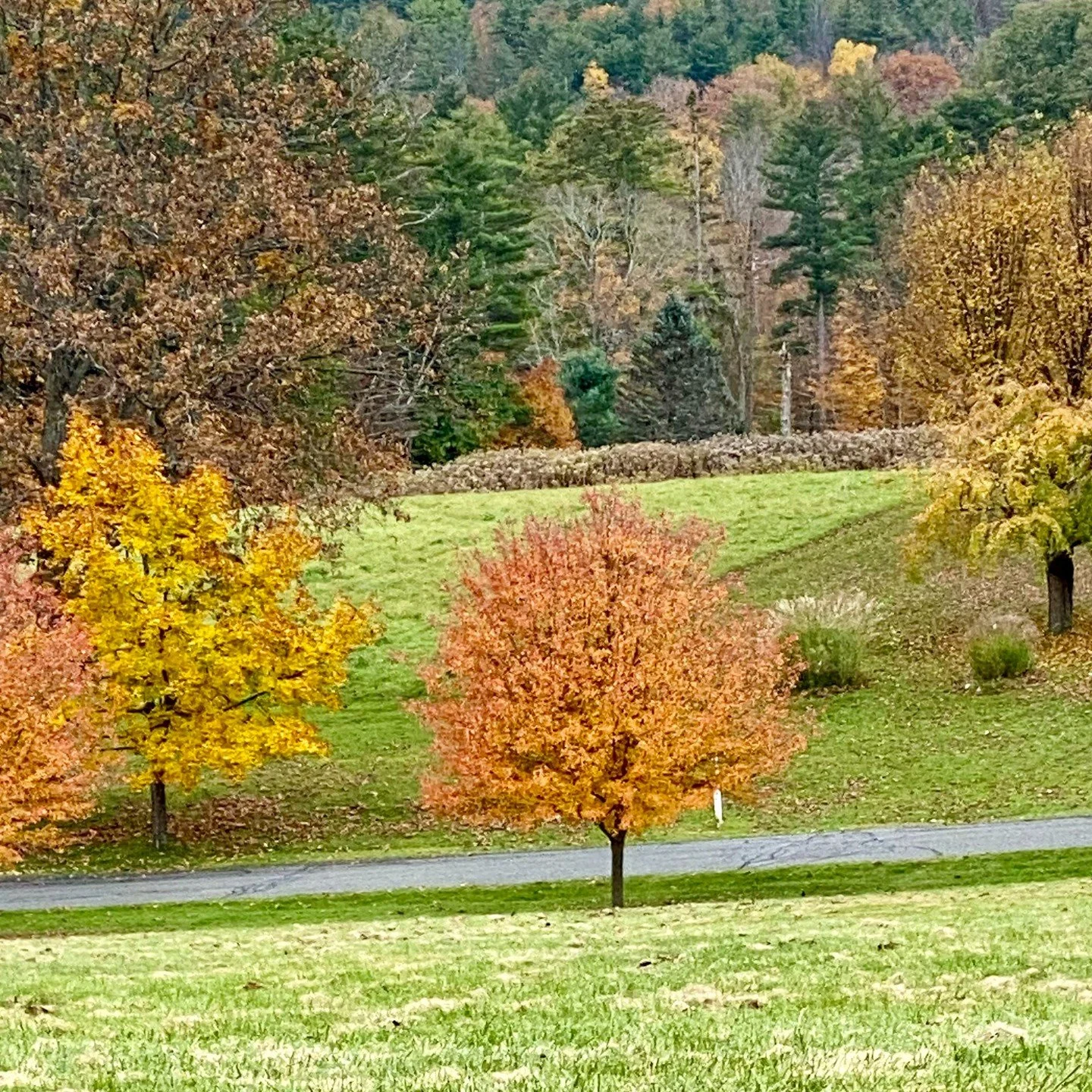 🍂 As the seasons change, so do our bodies. Embrace the transition with an Ayurvedic Fall Detox. Stay tuned for tips and rituals! 

#AyurvedicFallCleanse #ayurvedicfalldetox #EmbraceTheChange #ayurveda #dracutma #dracutyoga #yoga #yogaforeveryone #yo