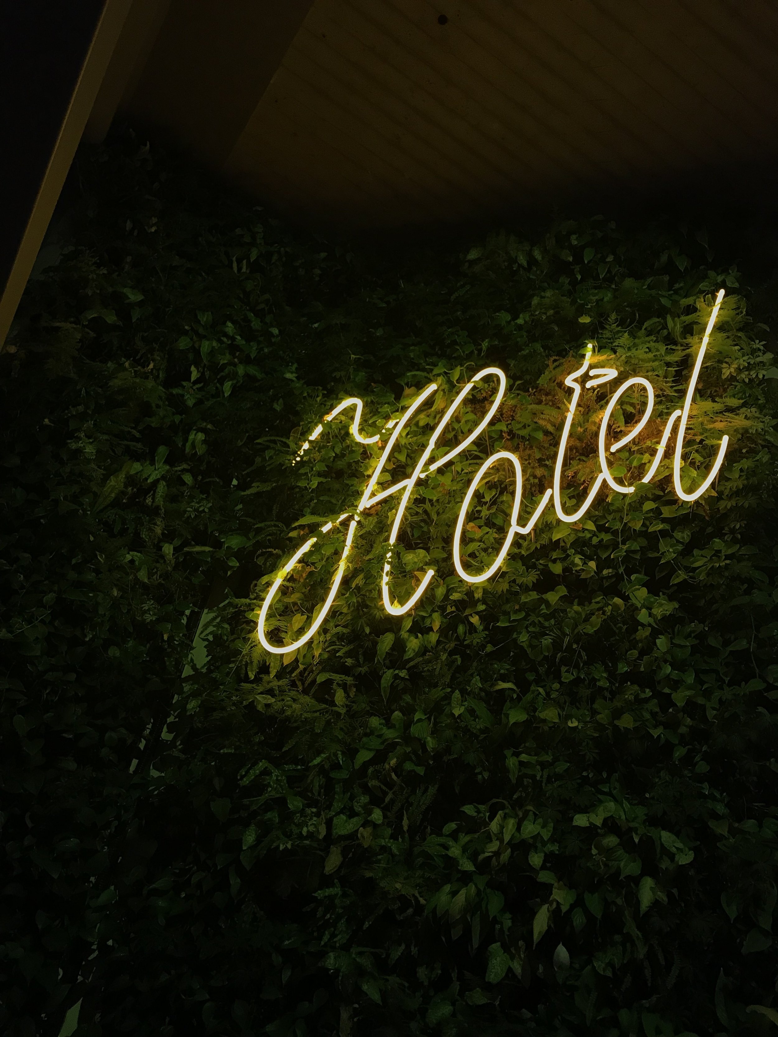 THE BUTCHER x SIR ADAM HOTEL AMSTERDAM