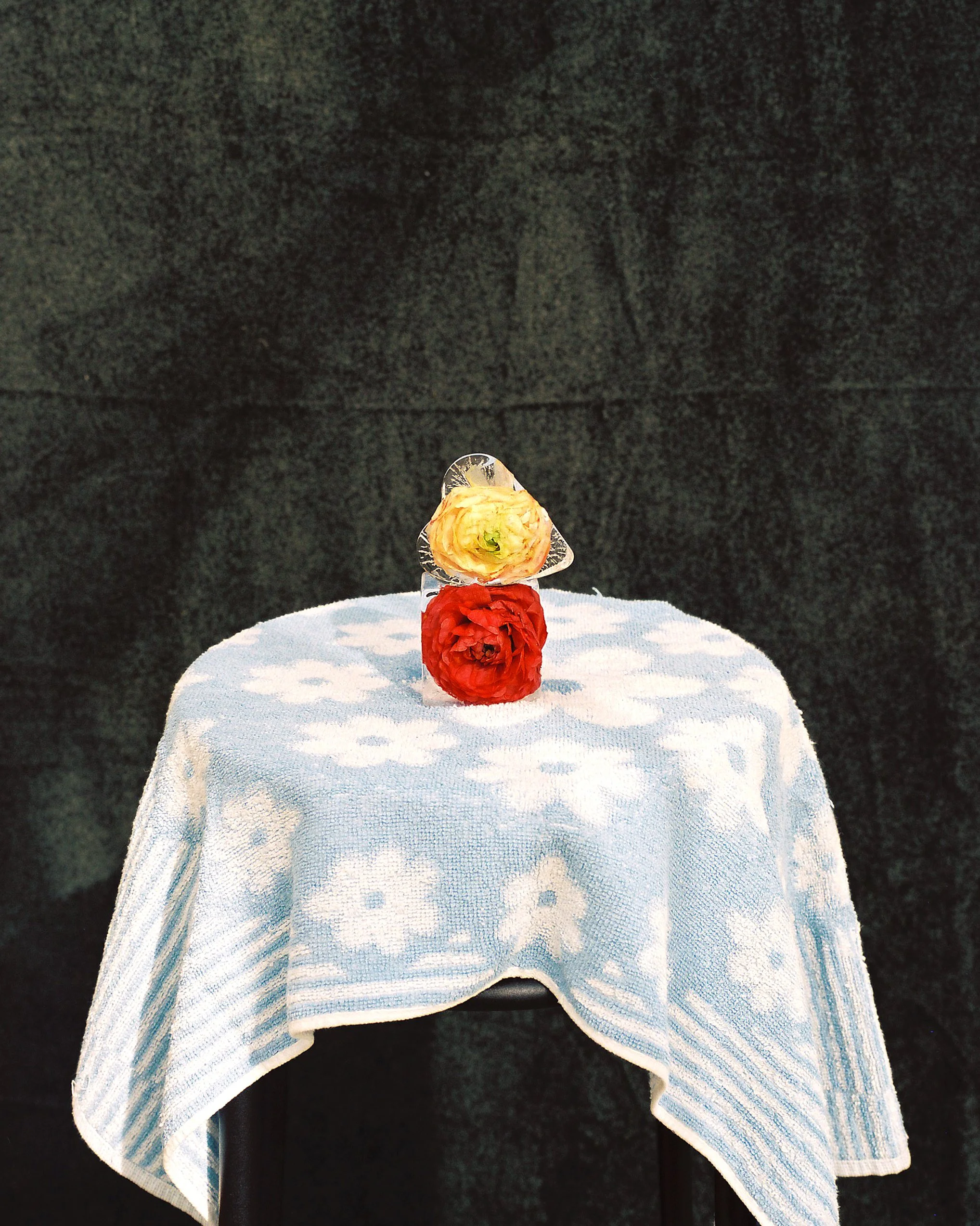 Heart Flower 2021.jpg