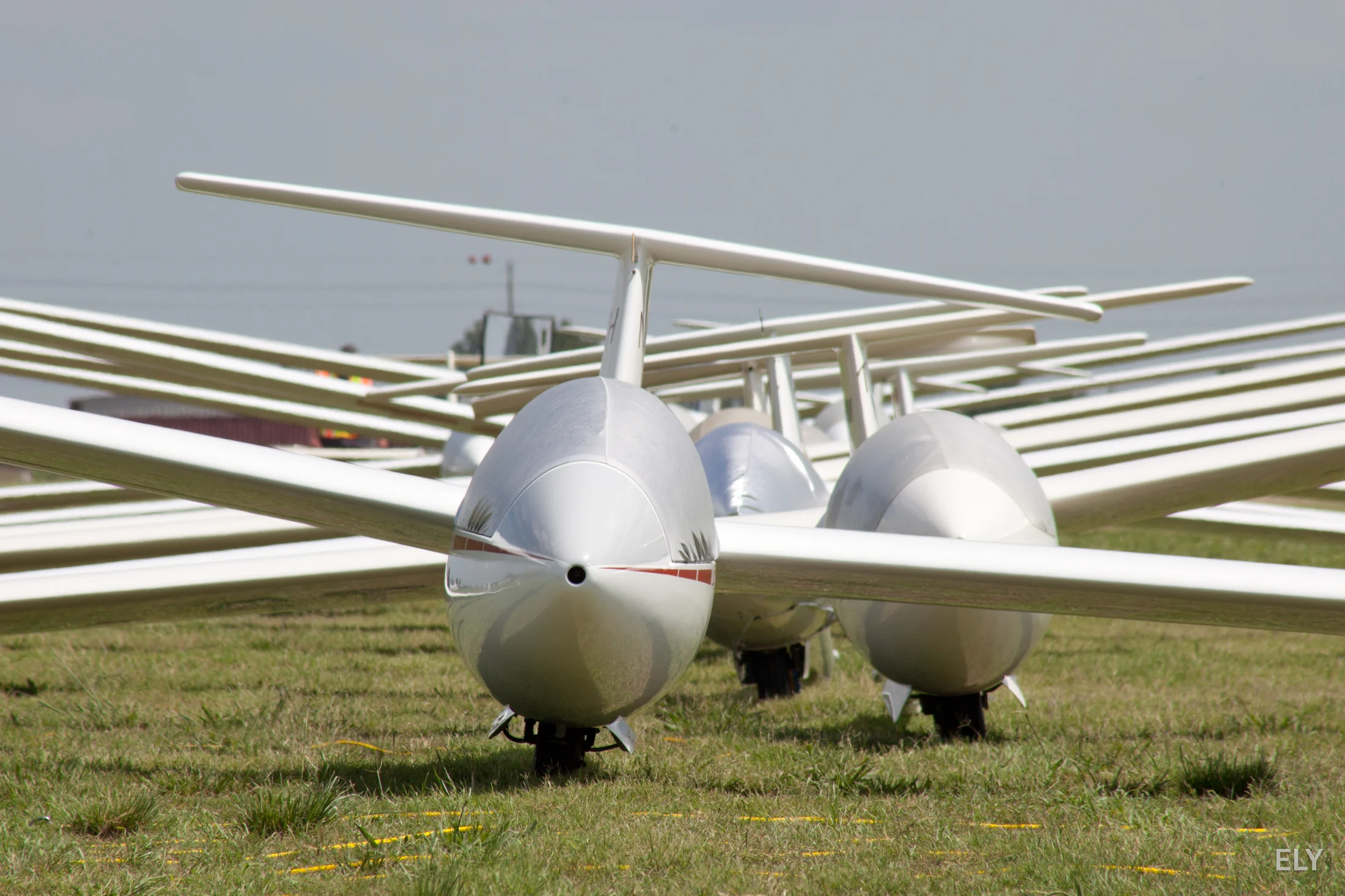Sailplanes staged for a soaring event at GHSA in May, 2019. Photo by Osvaldo Bins Ely.