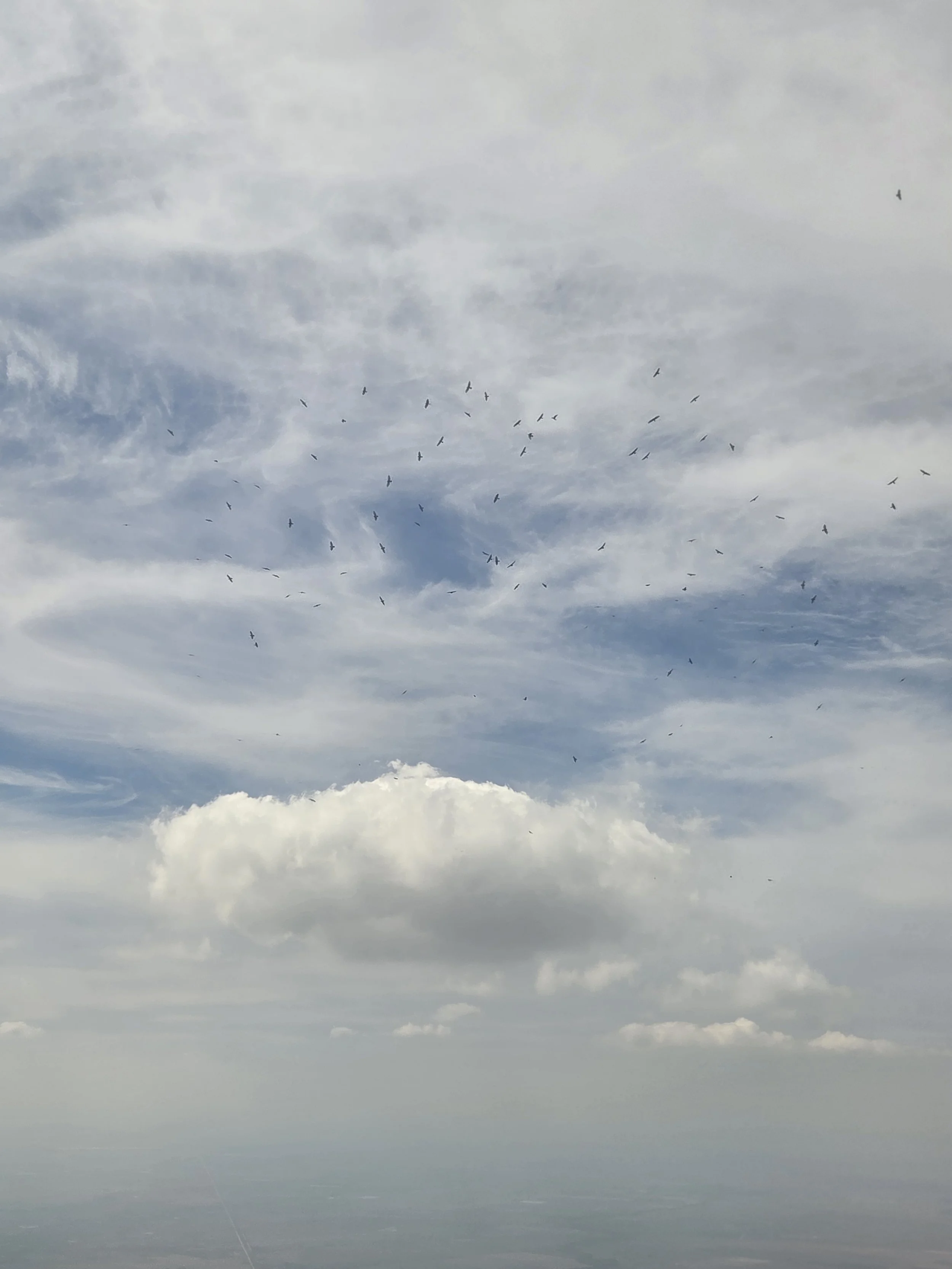 20260926_152519.jpg