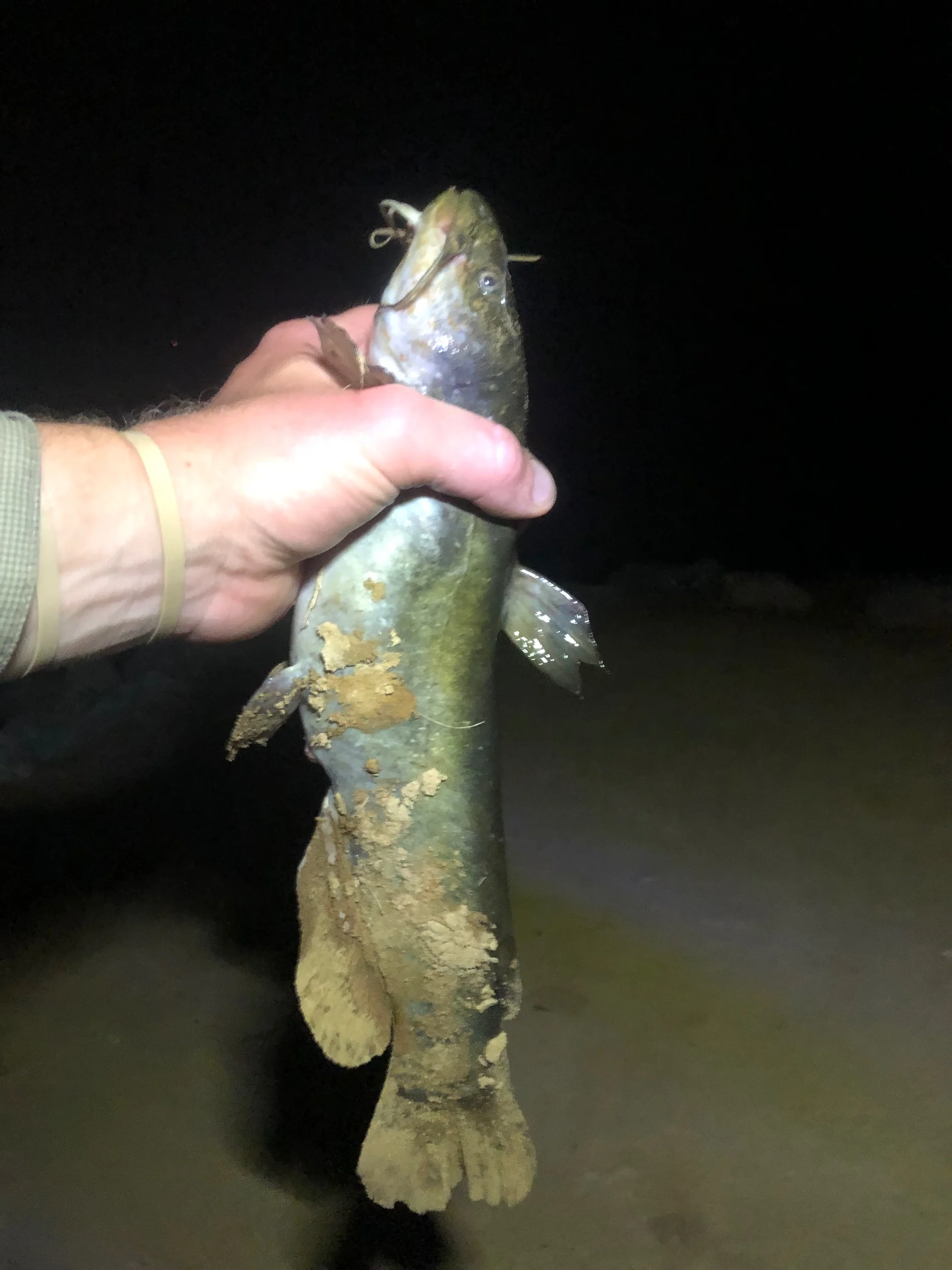 7/8/2019 Finally caught a fish at Lamar Bruce