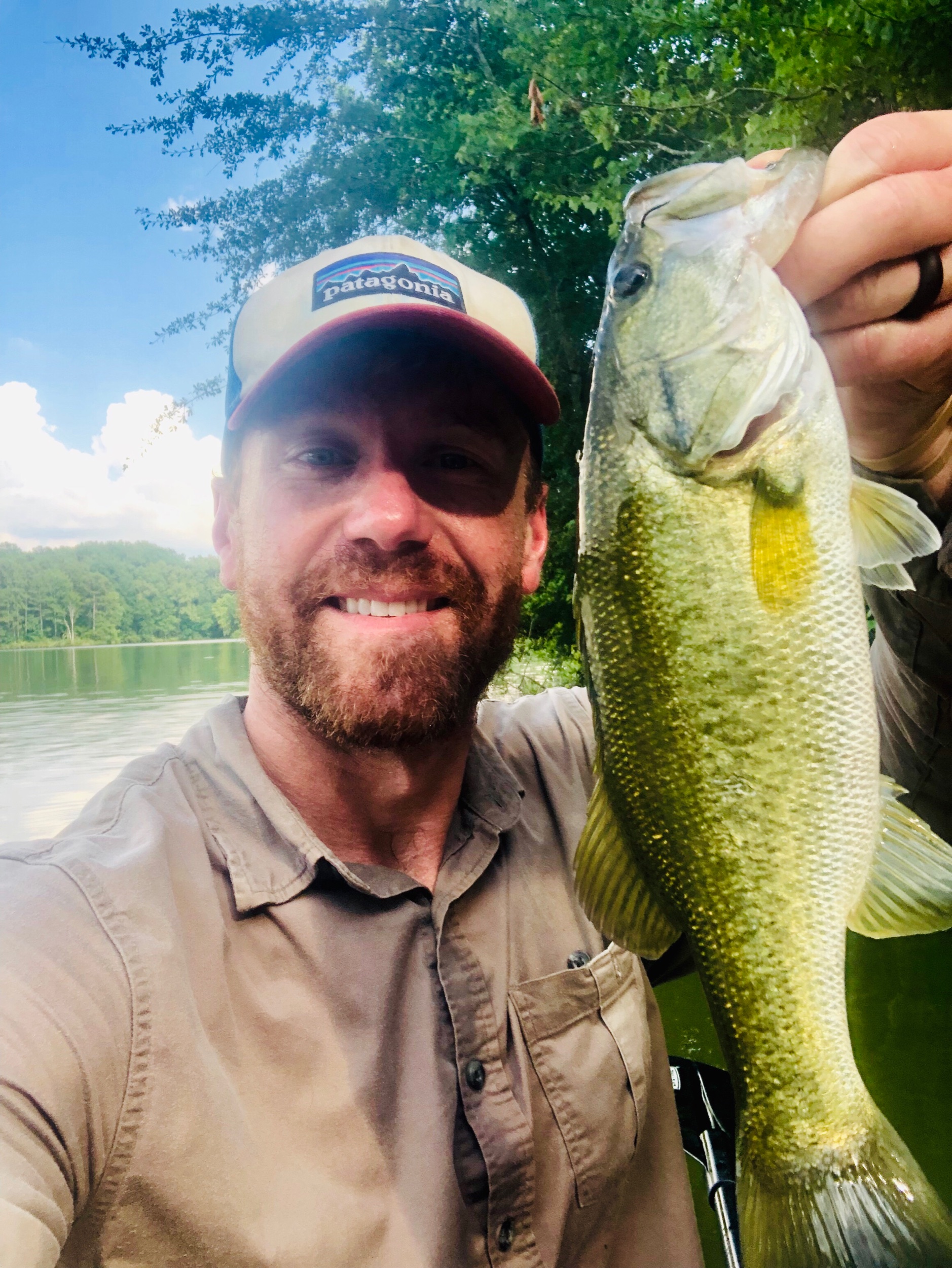 7/9/2019 3 Bass at Lamar Bruce and 1 at Elvis Presley