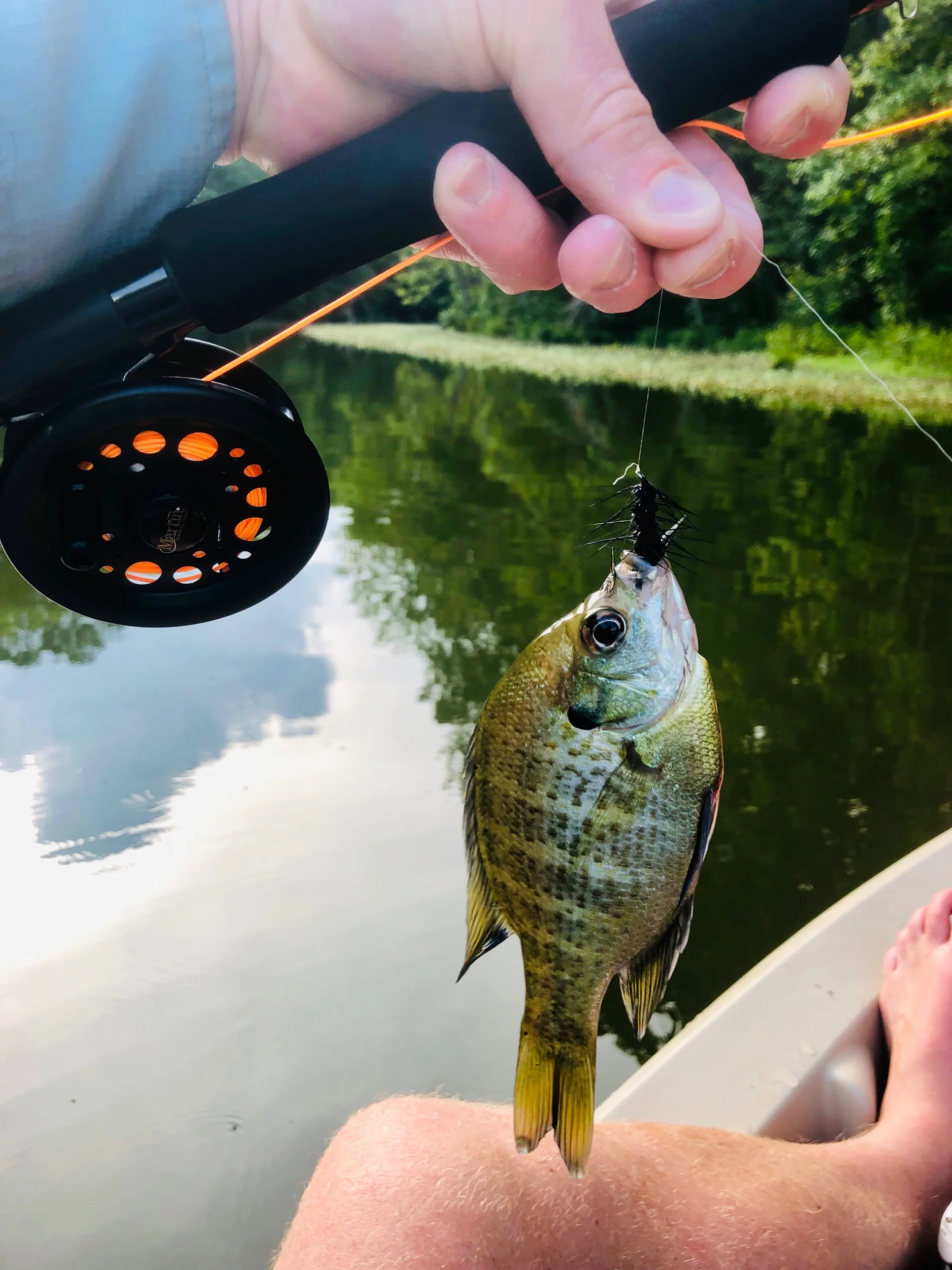 7/10/2019 Fly fishing for the first time again and lakeside IT support