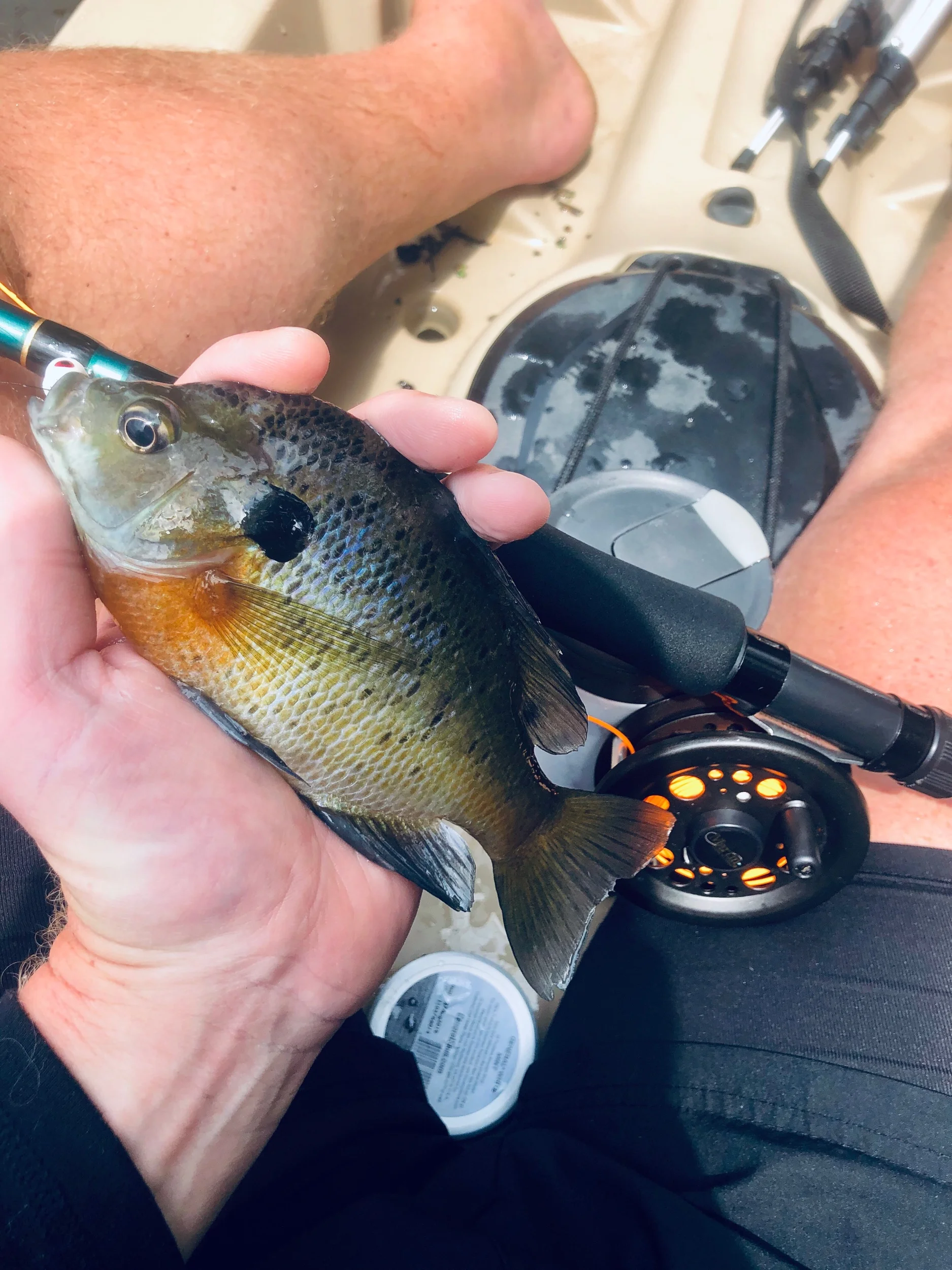 7/17/2019 Fly Rod Firsts at Drewery Lake