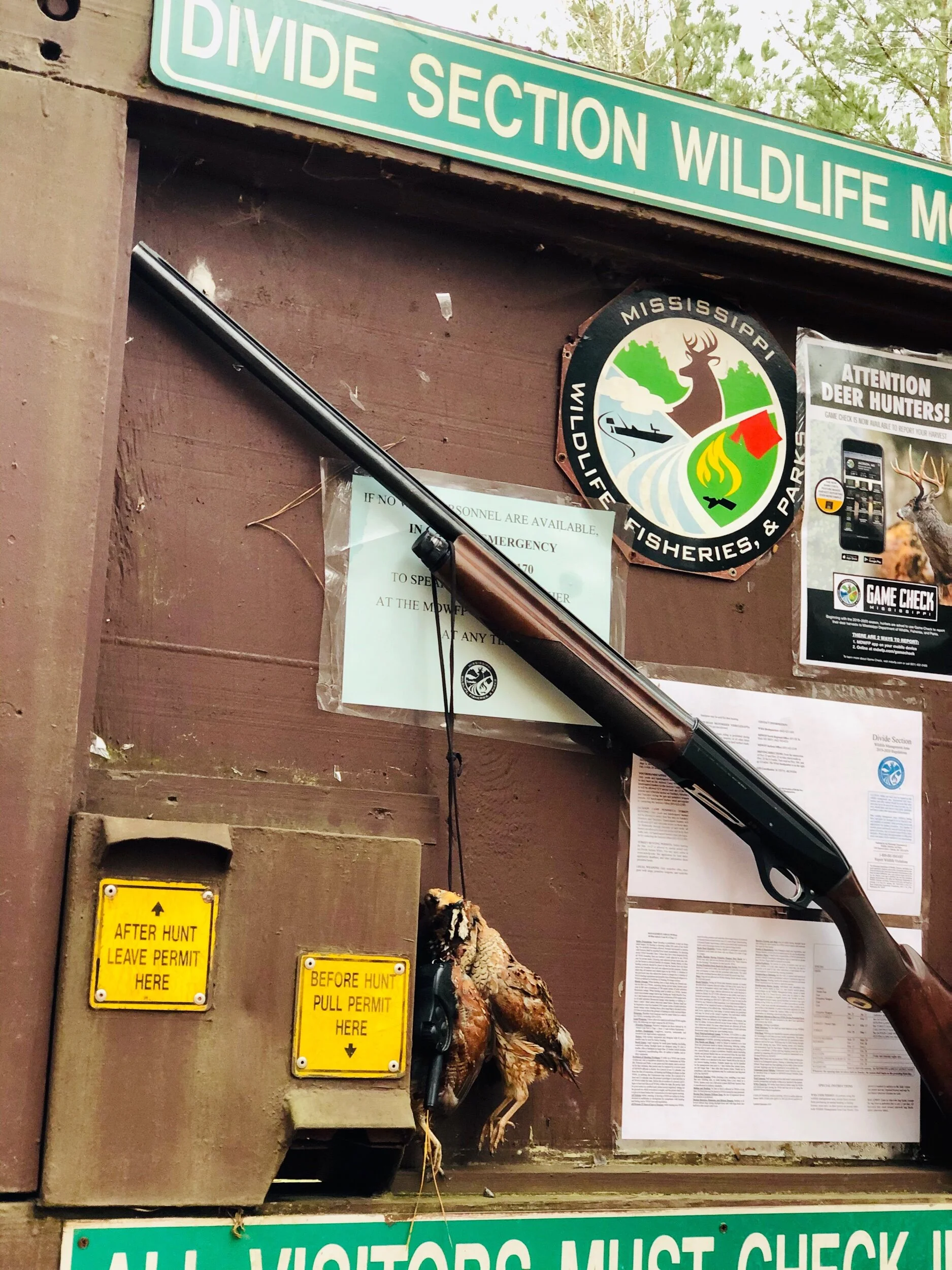 1/24/2020 Mississippi Wild Quail Hunting Divide Section WMA