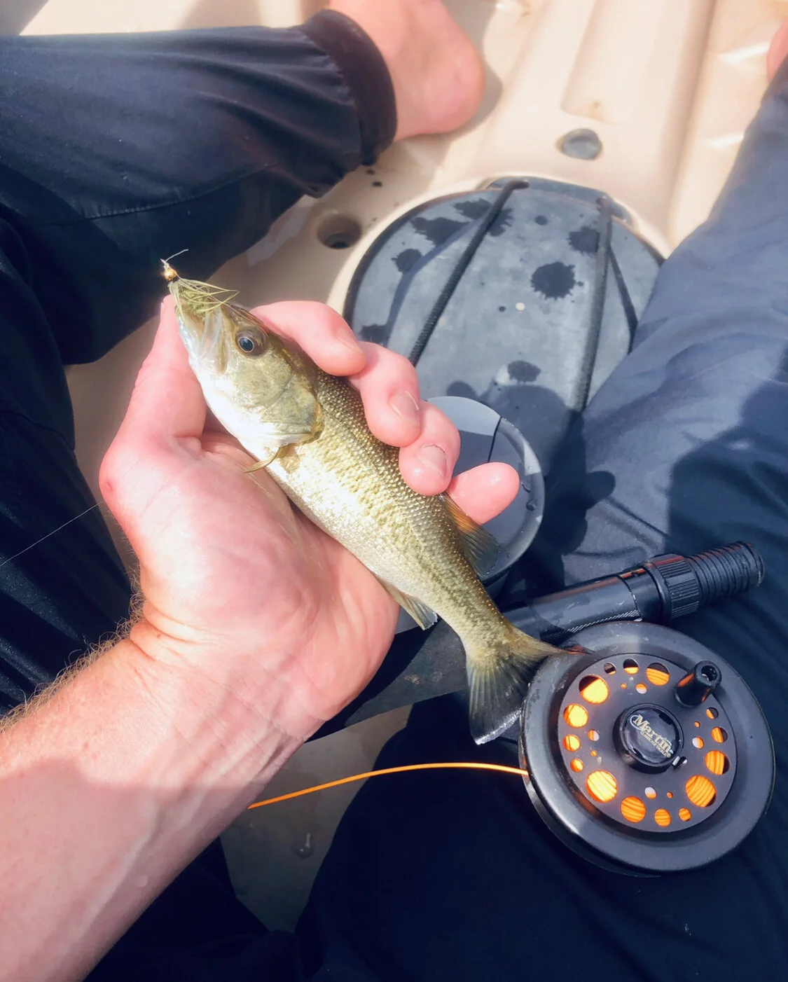 7/18/2019 First (tiny) Bass on a Fly Rod!