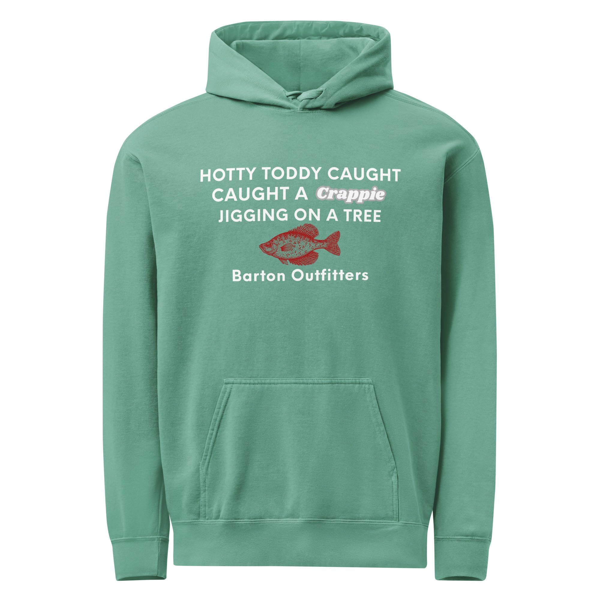 unisex-garment-dyed-hooded-sweatshirt-i-comfort-colors-1567-seafoam-front-696c7c5b70bf3.jpg