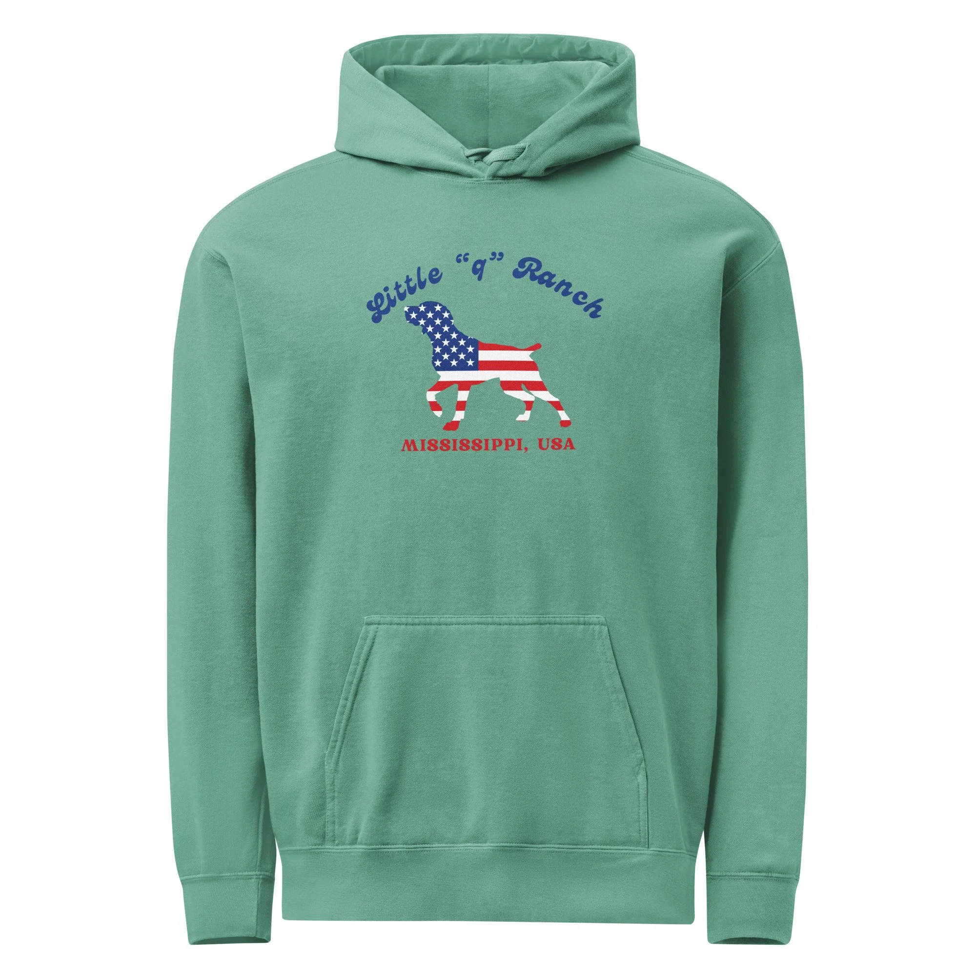 unisex-garment-dyed-hooded-sweatshirt-i-comfort-colors-1567-seafoam-front-697079dd8c4da.jpg