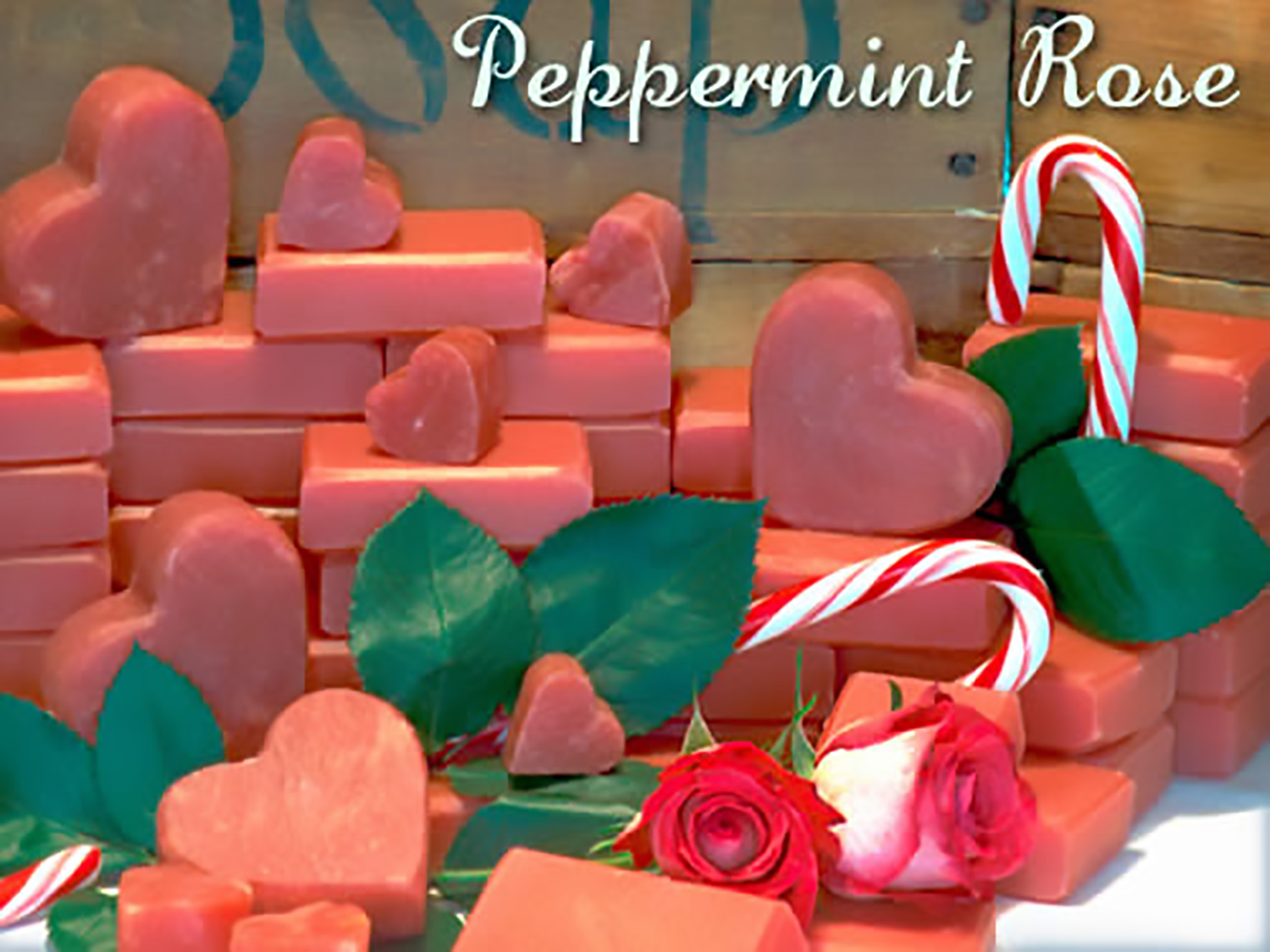 The Soap Lady The Soap Lady