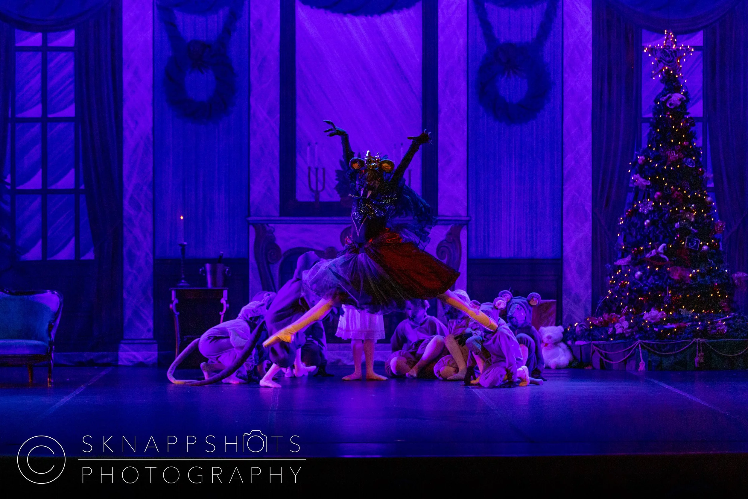DAC_Nutcracker-309.jpg