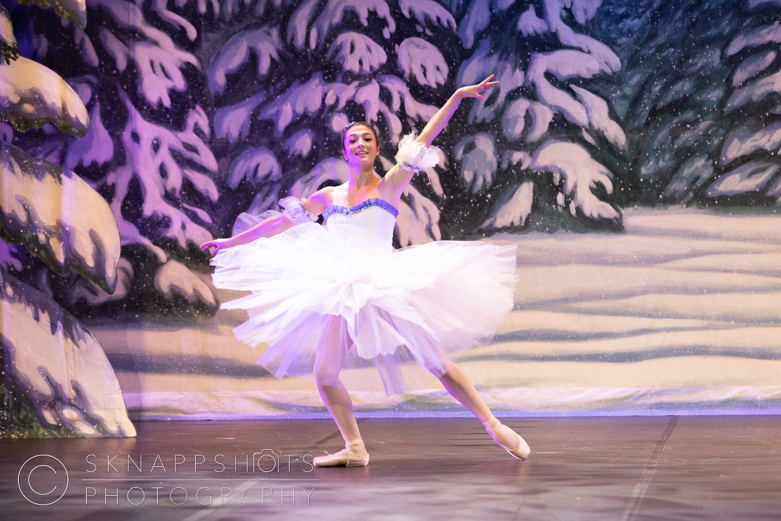 DAC_Nutcracker-499.jpg
