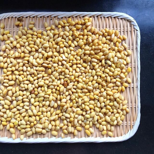 Steamed #soybeans🌿 Natural sweetness.