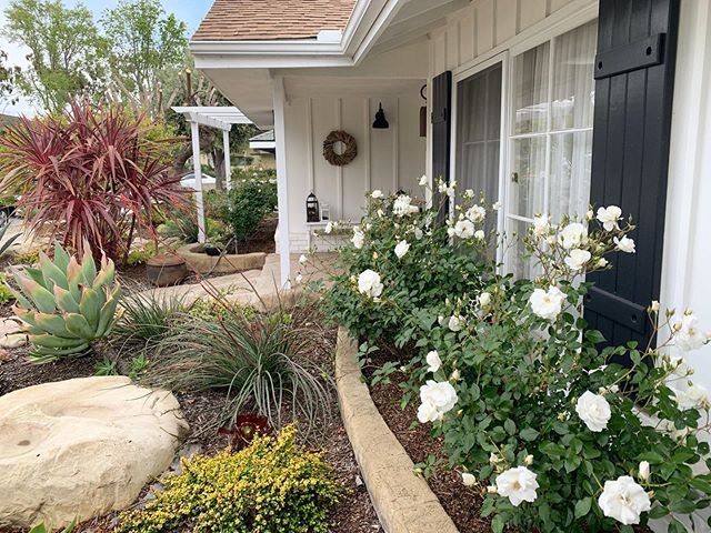 Loving my exterior!  When we bought this house 3 years ago it was a hot mess!  White and black house and mostly drought tolerant landscape totally transformed our little house. Most interior designers can not only transform the inside of homes but al