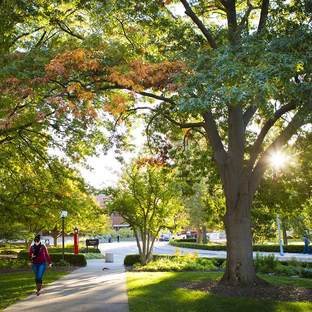 Collegiate Campus Evaluations