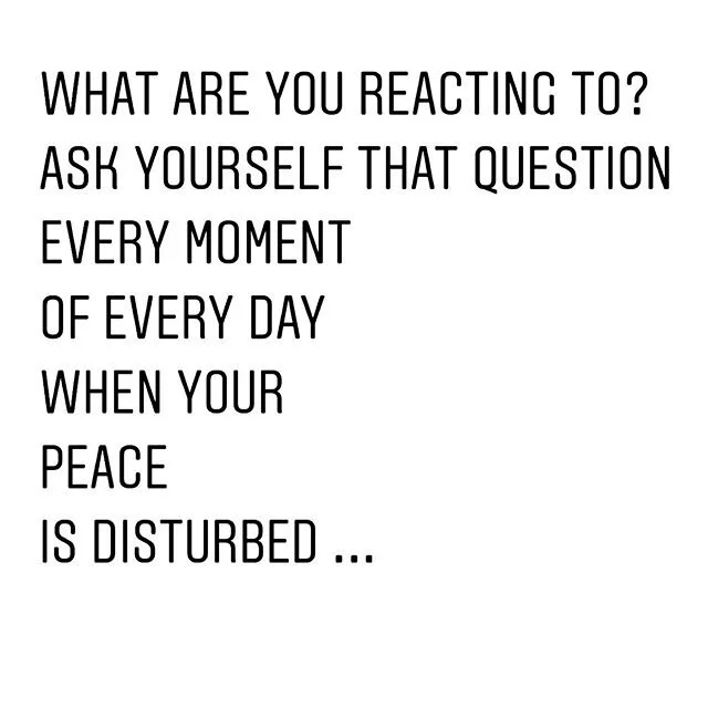 One of the best gifts I have been given since I started meditating is the gift of conscious reaction. &bull; A pause before I react by saying or doing something I don&rsquo;t truly mean or later regret. Sitting in meditation for 20 min a day has give