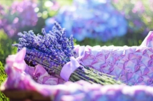 lavender gives a pop of color and serves as a bug repellent!