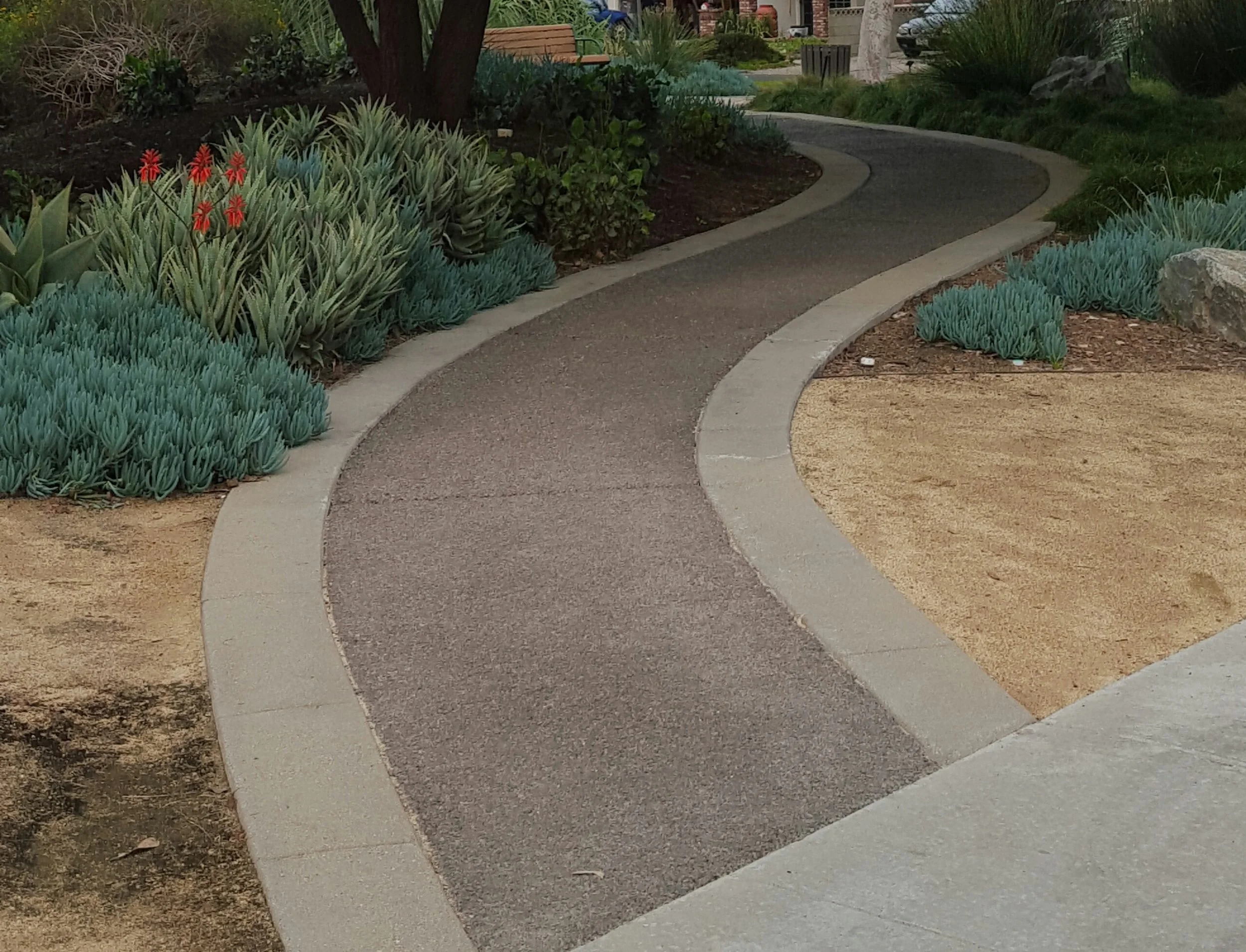 Roscoe - The Reservoir Dog of Love