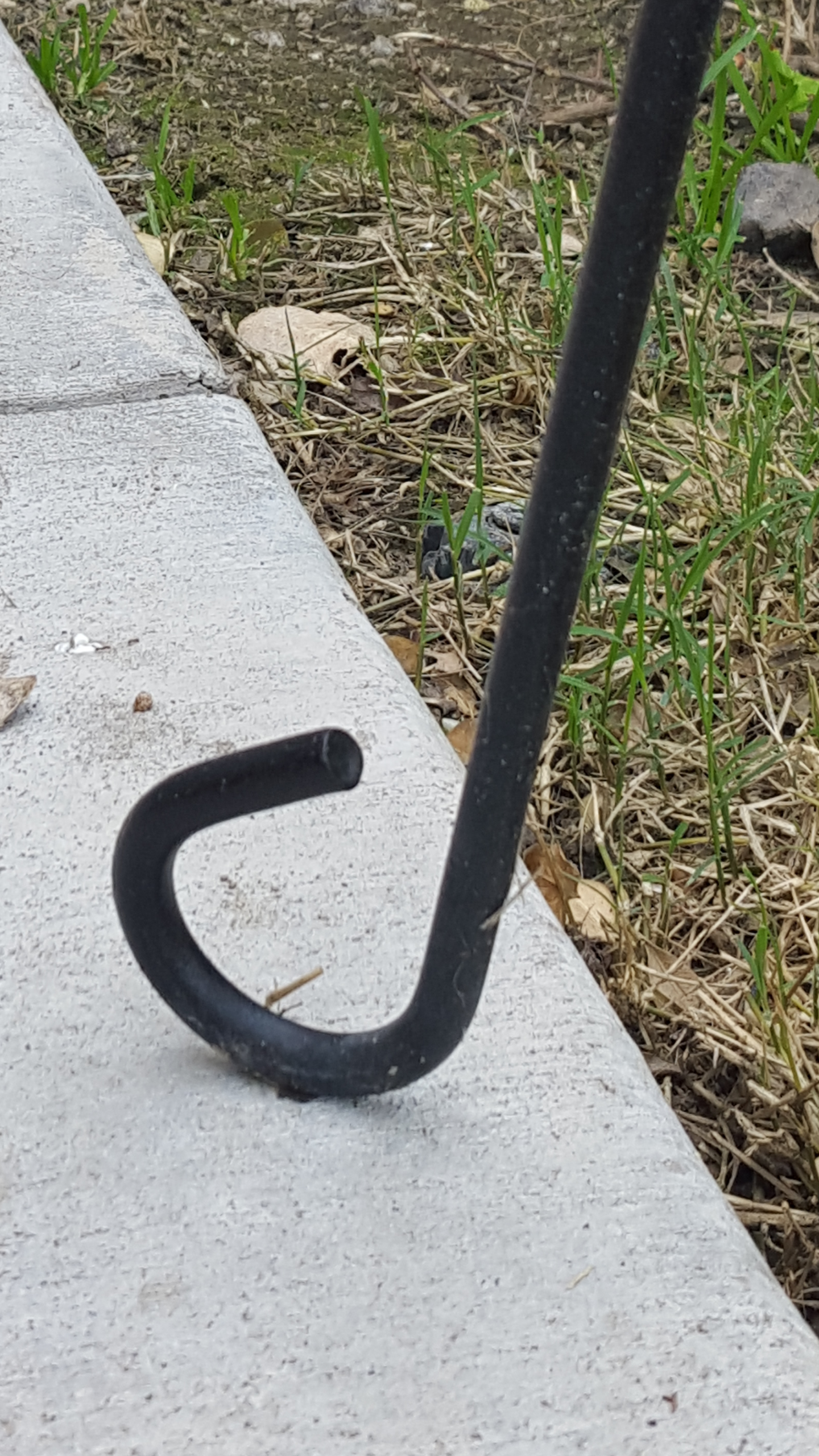 Listen to the Whispers for an Easier Life