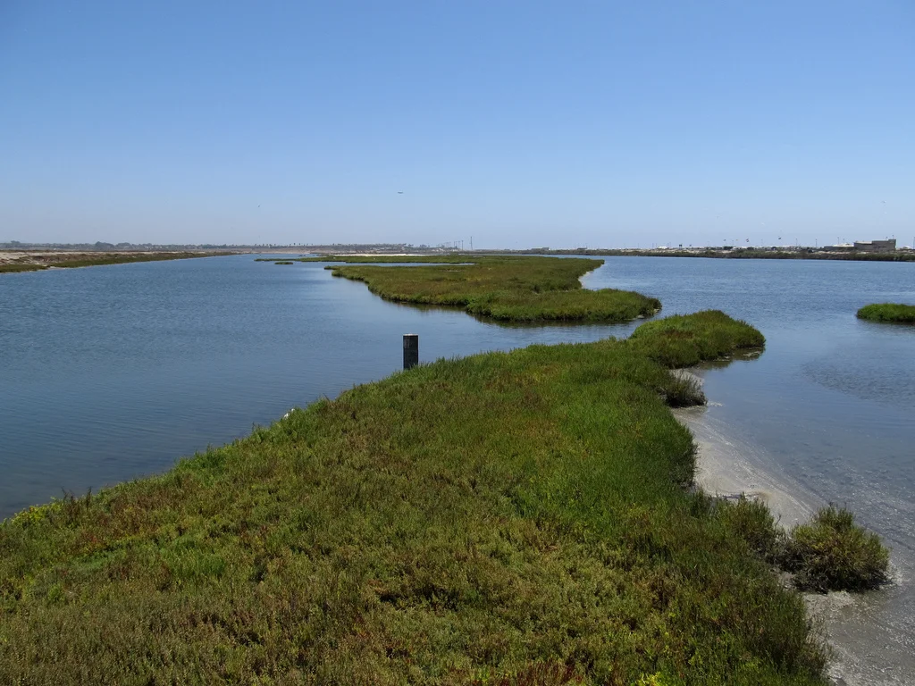 Bolsa Chica Wetlands