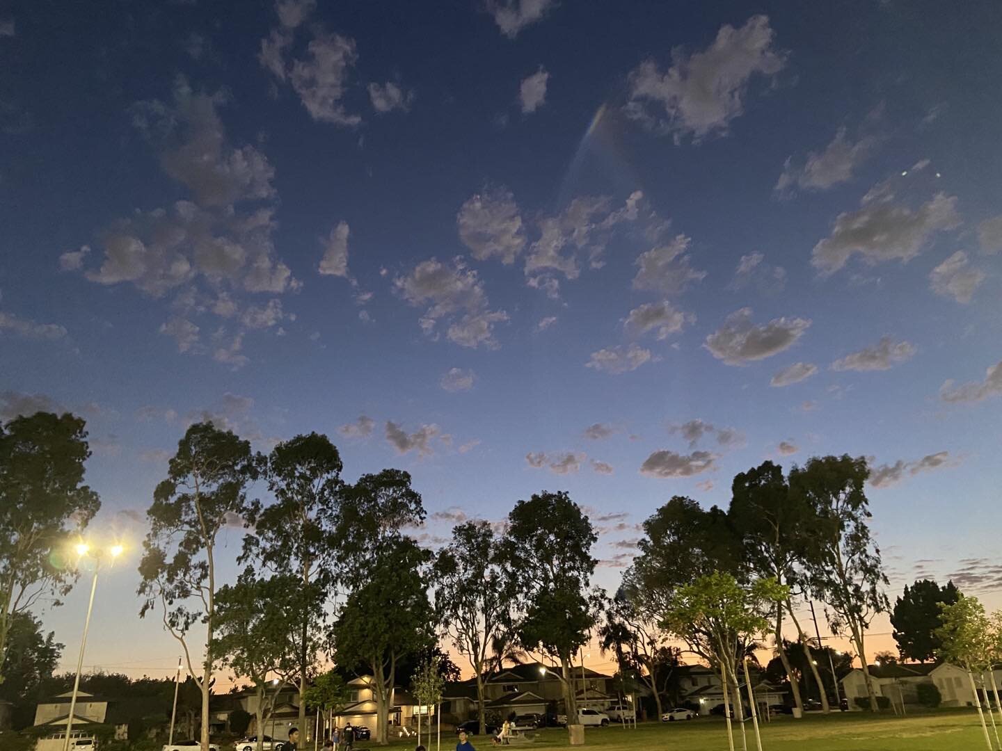 Happy summer solstice! A beautiful evening.